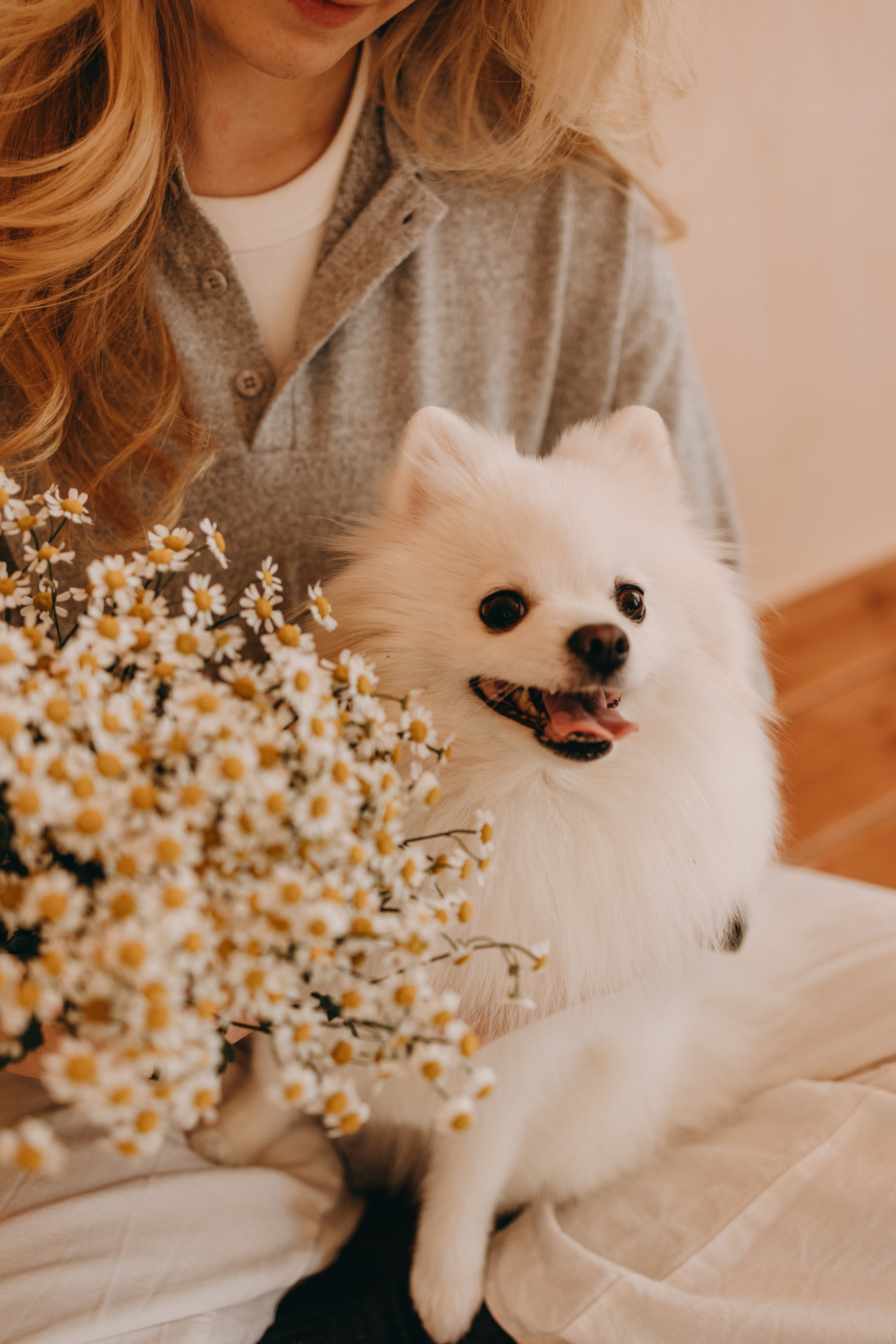 Джесси и ее семья. Фотограф — Анималист | Санкт-Петербург