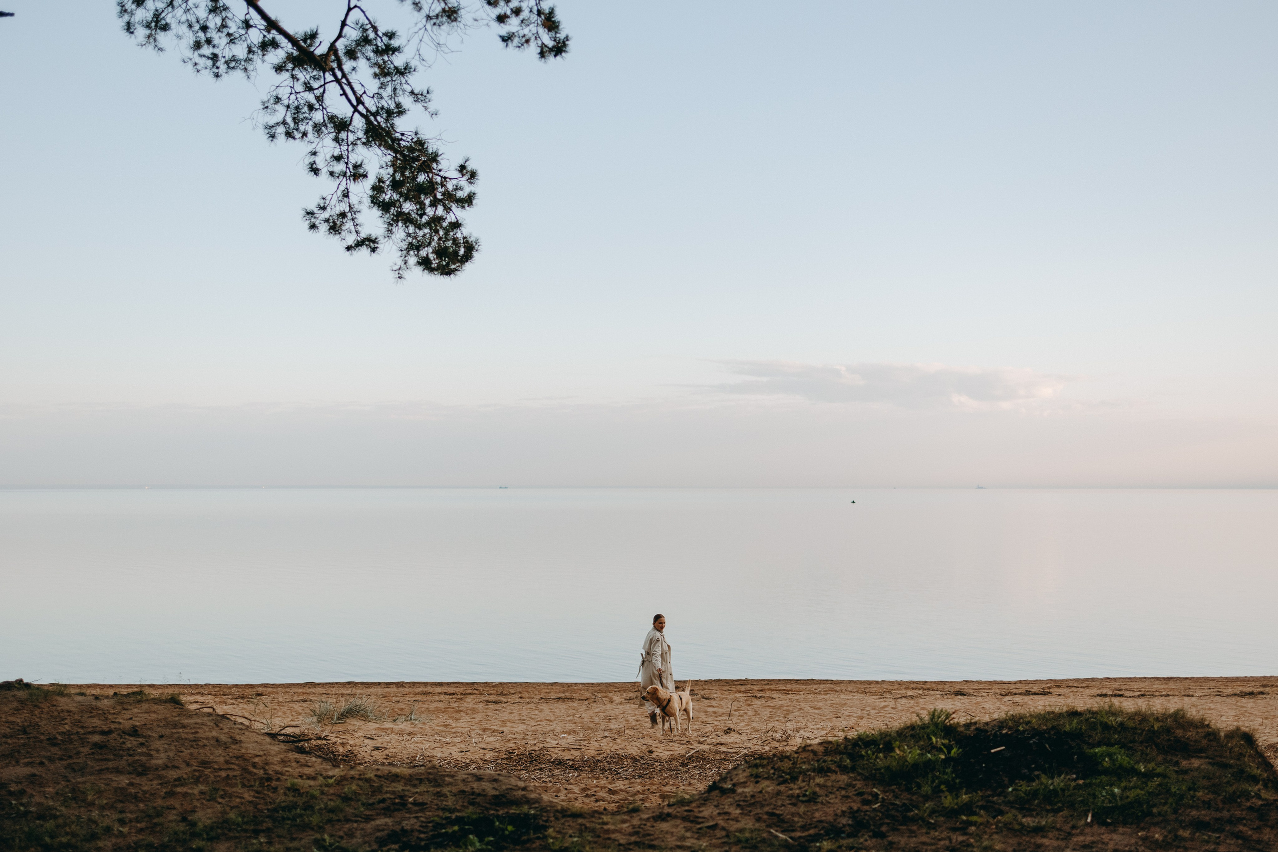 Наташа и Шани. Фотограф — Анималист | Санкт-Петербург