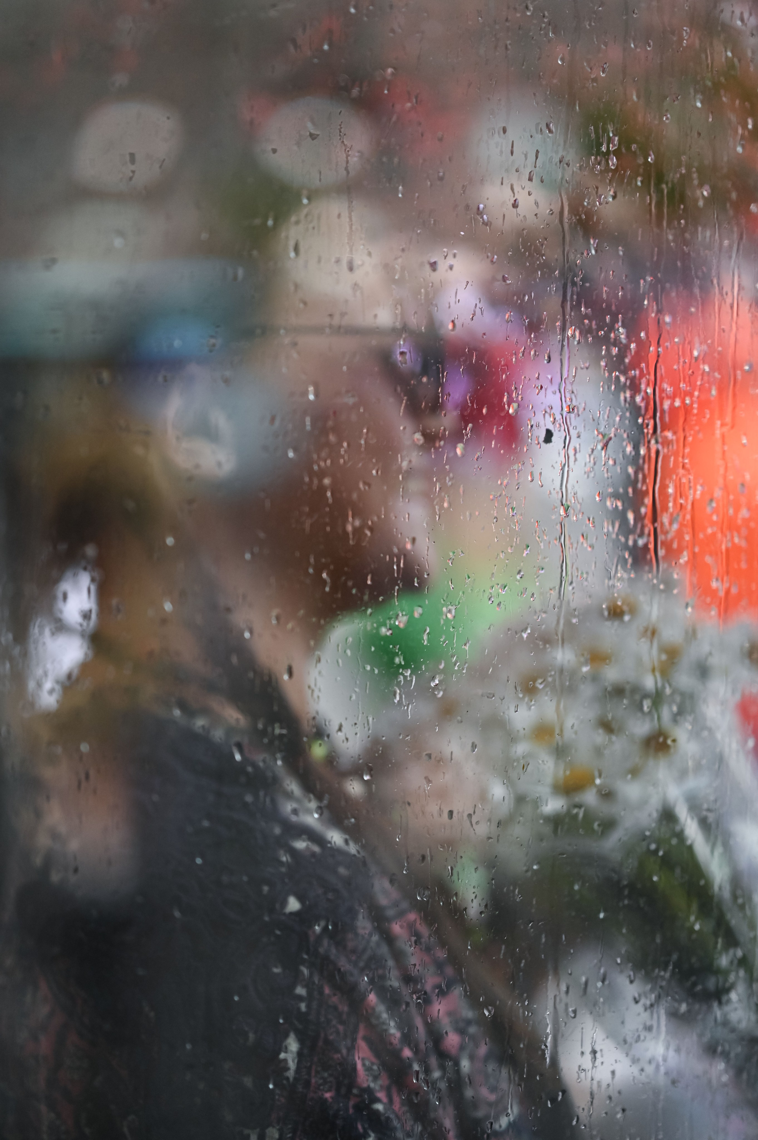 . ZDARONOKIA Репортажный фотограф