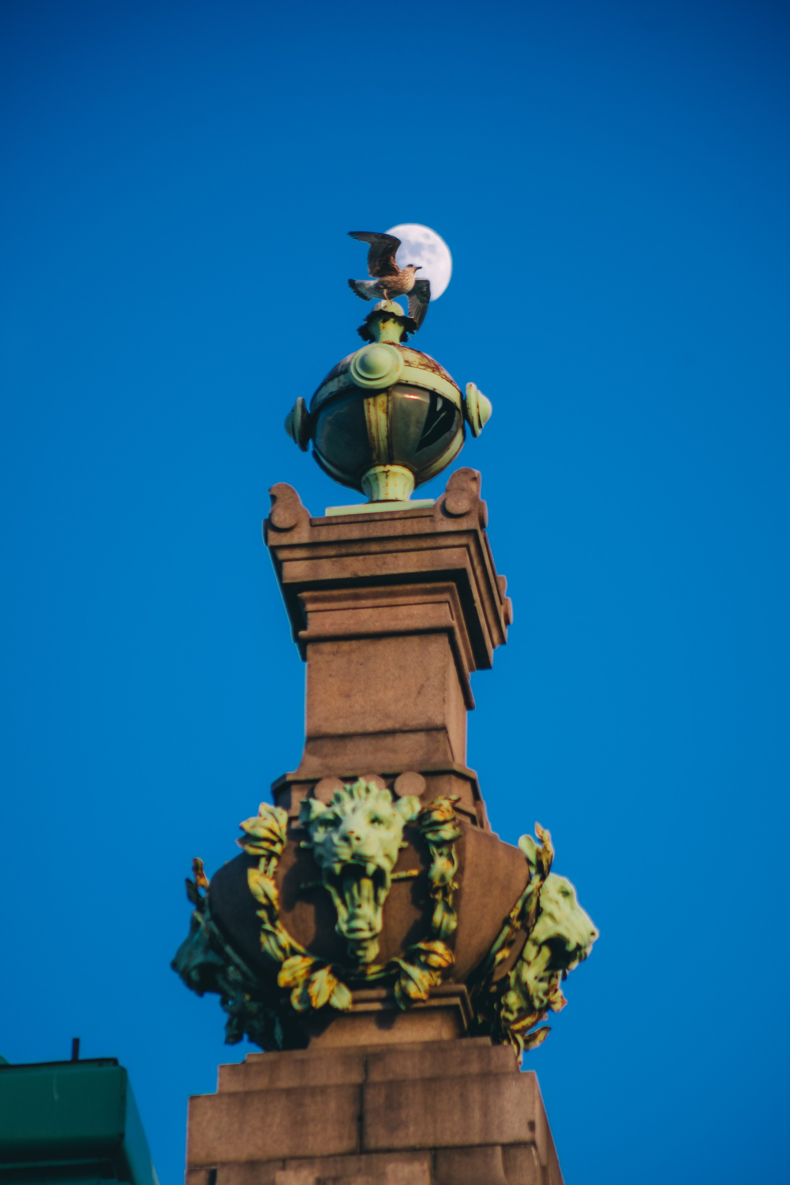 Санкт-Петербург. Фотограф в Санкт-Петербурге