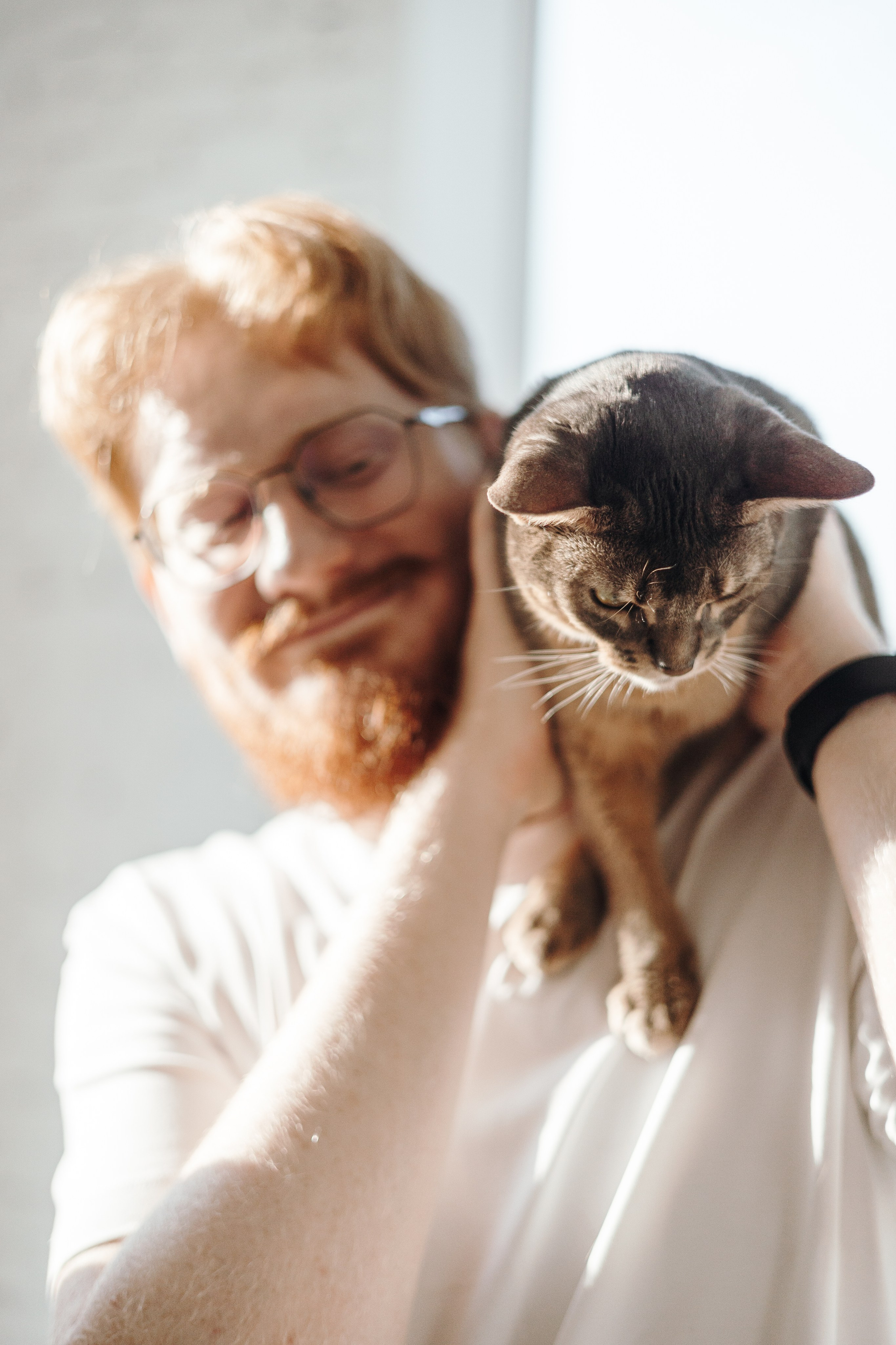 Циско и его семья. Фотограф — Анималист | Санкт-Петербург