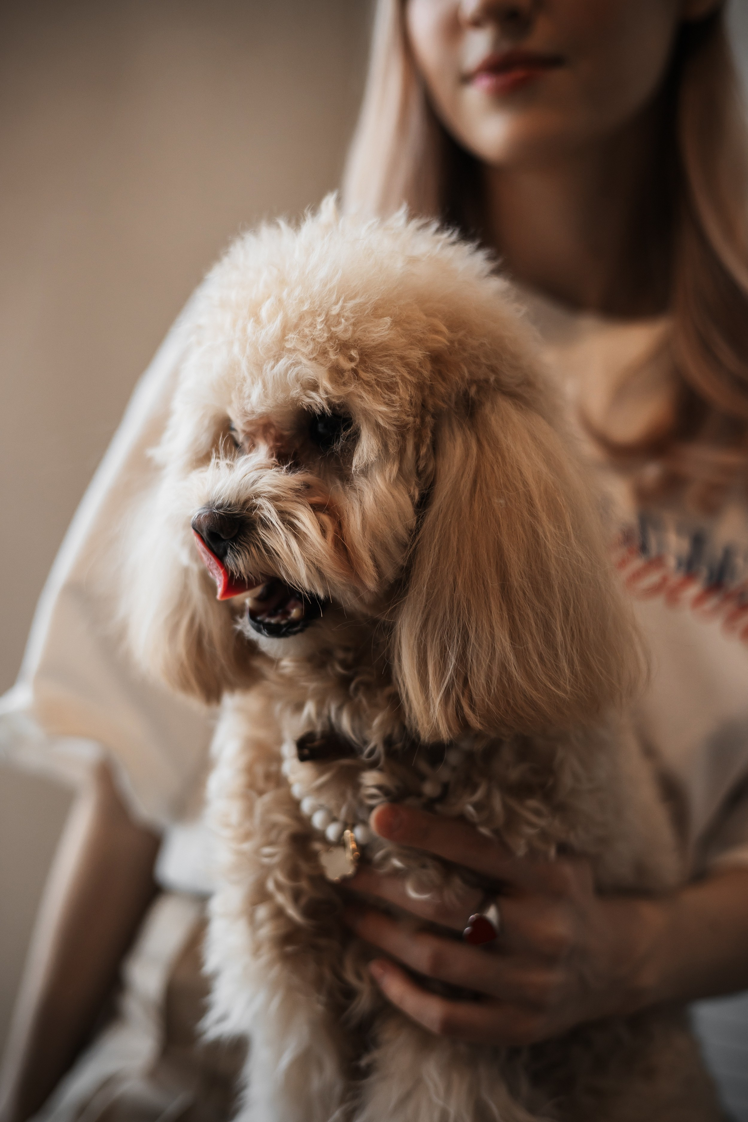 Алина — прогулка