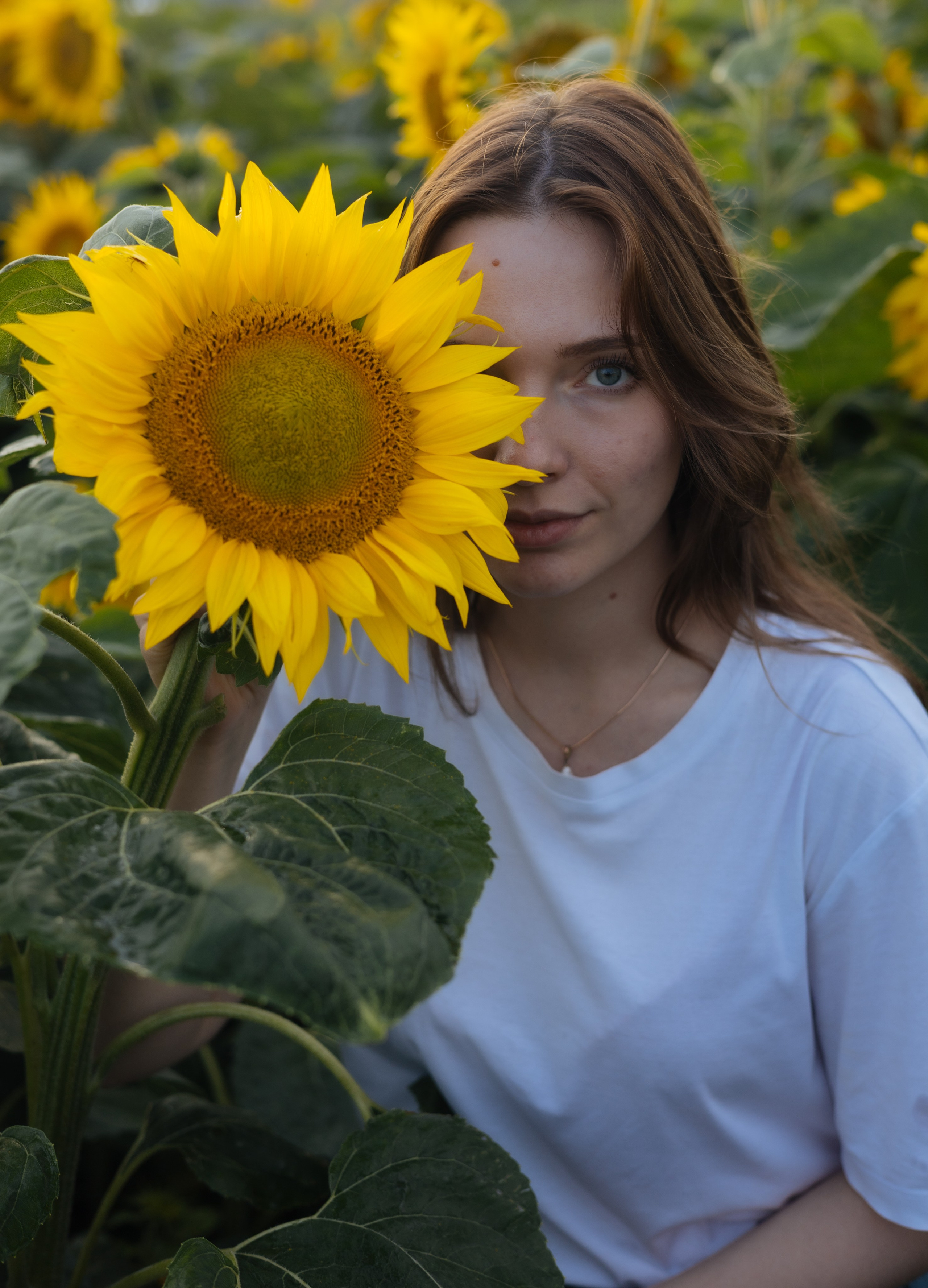 ПОДСОЛНУХИ 2025. Фотограф Красноярск съемки лавстори, фотосессия в студии, портретная съемка, творческие фотосессии