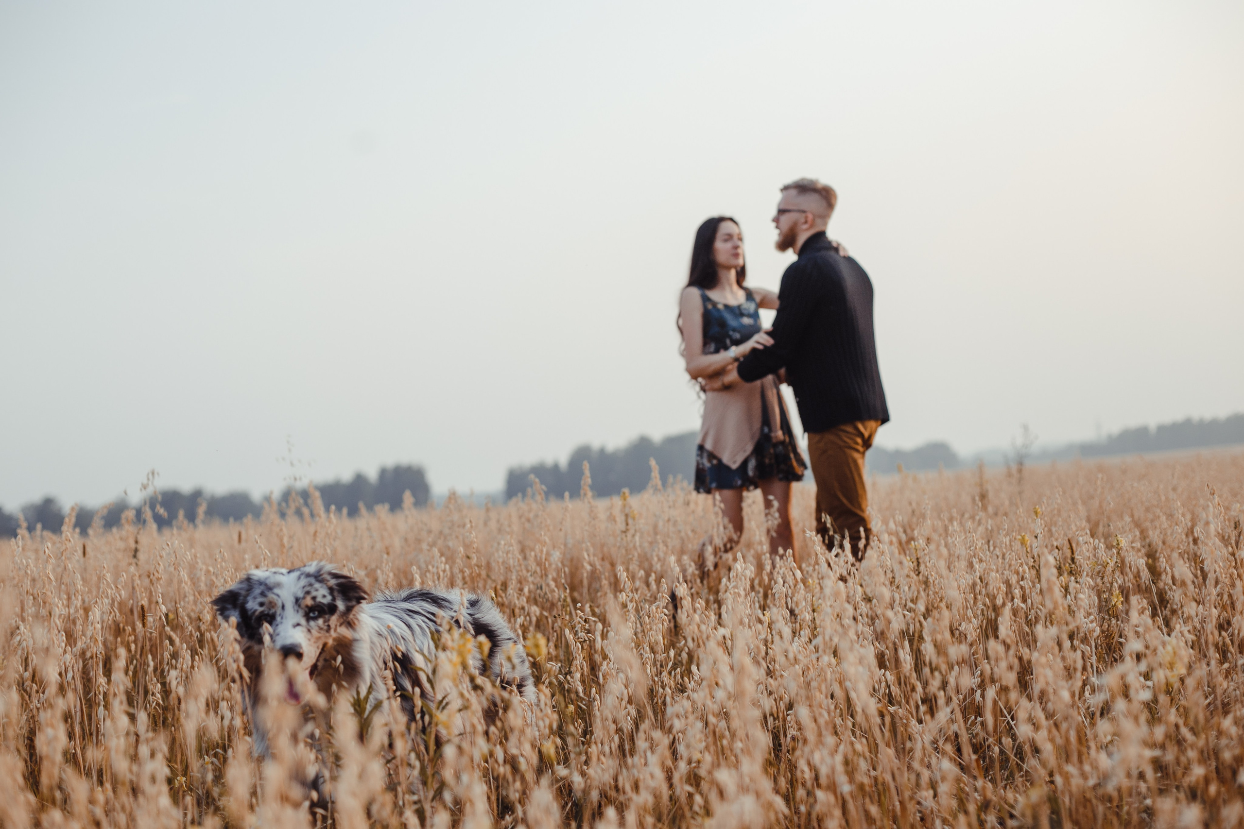 Mike. PHOTOGRAPHER romanoff-egor