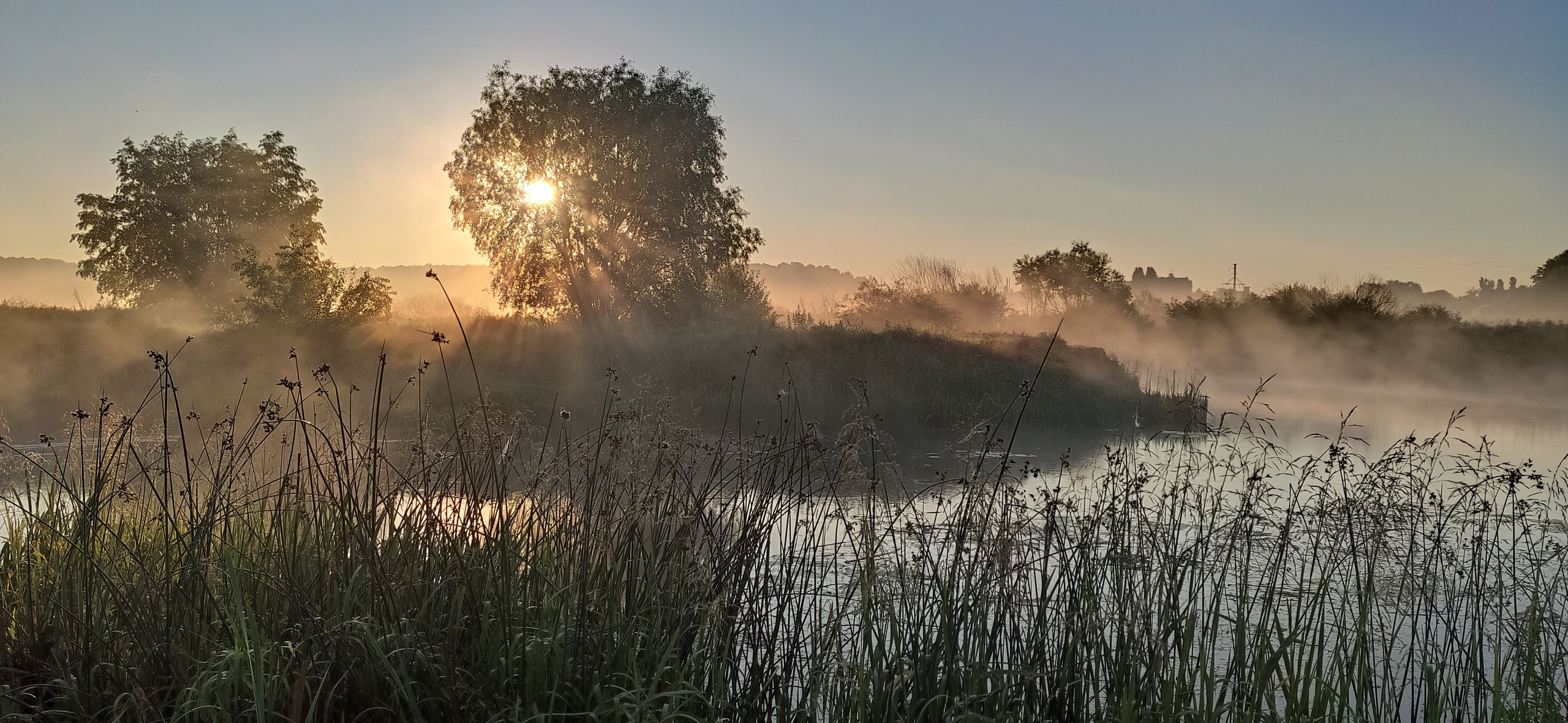 Услуги. Tonya.photo. Фотограф, рилсмейкер