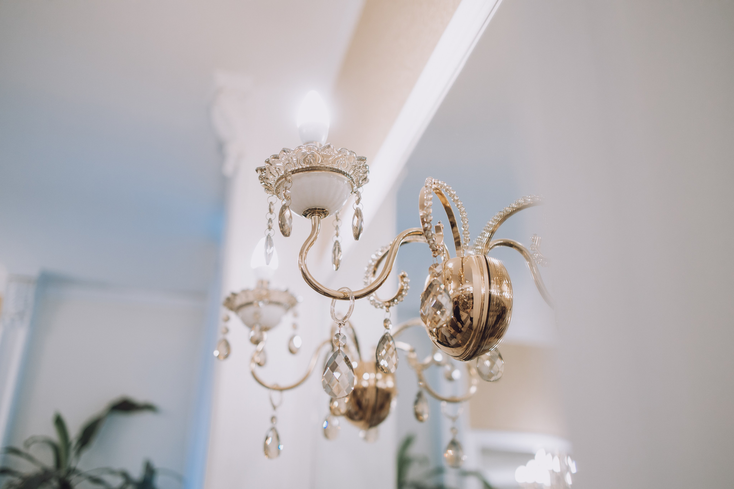 Даша и Максим. Репортажный фотограф Анастасия Головко