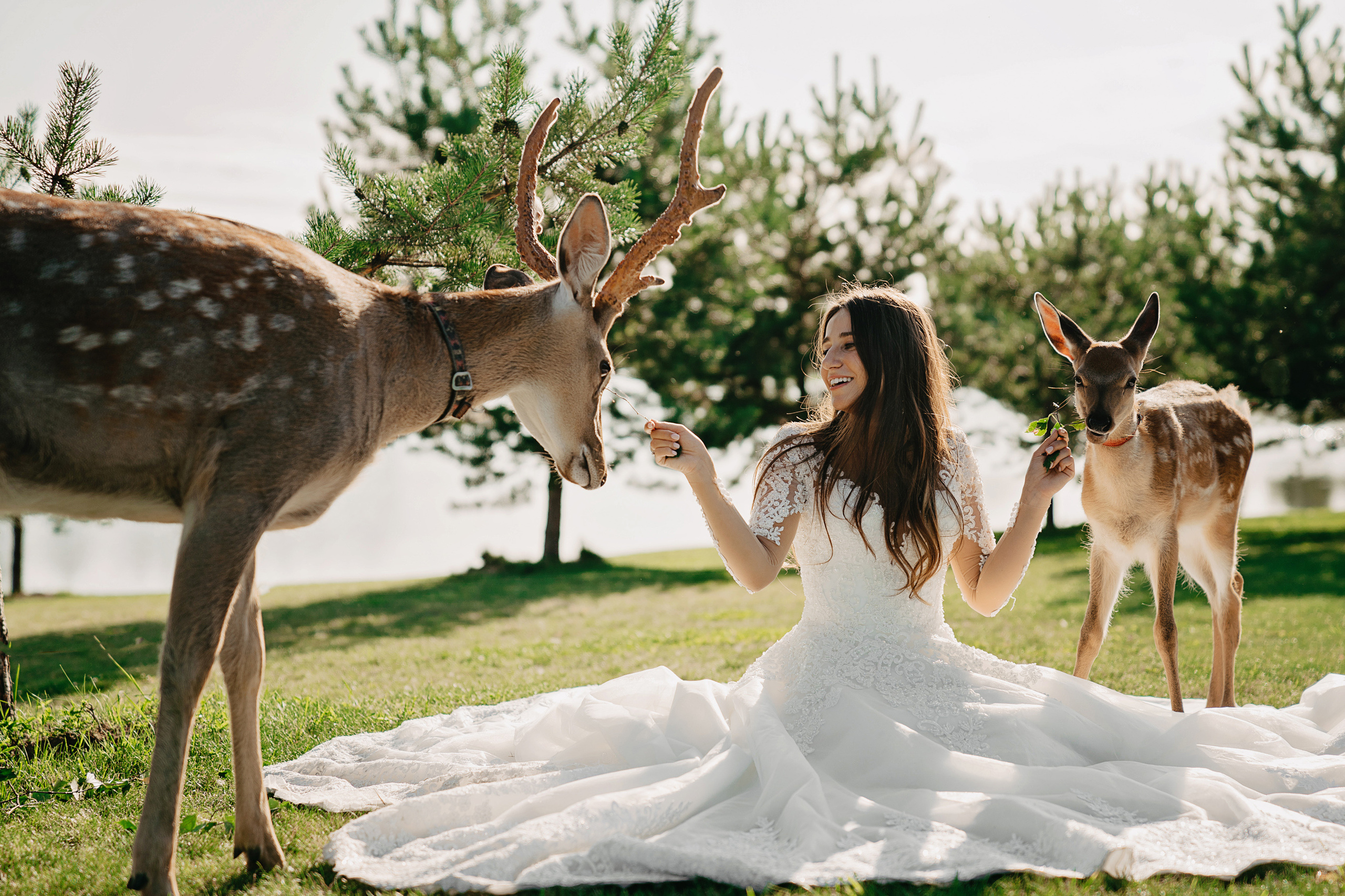 Свадебный фотограф и видеограф Дмитрий Горяченков