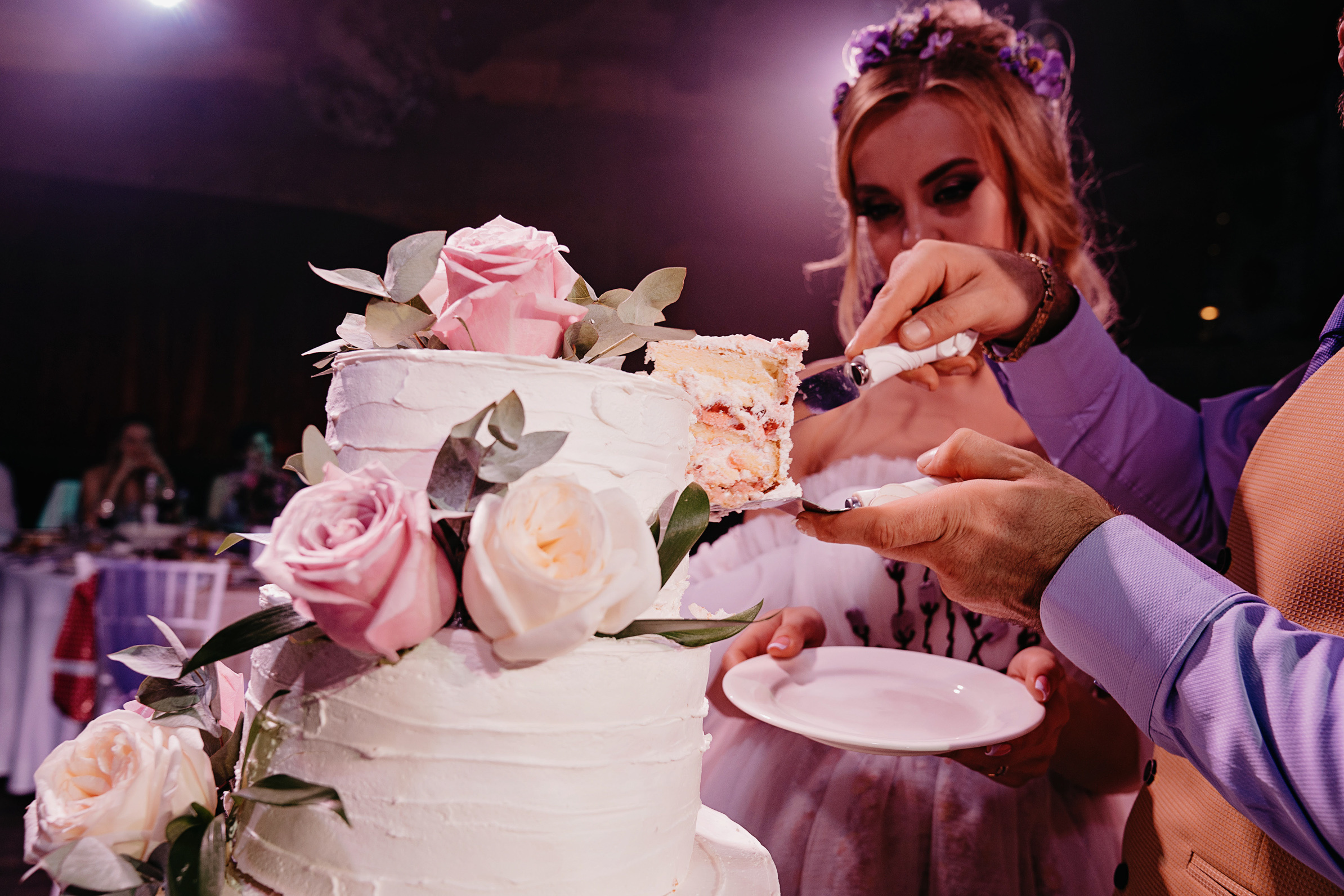 Вячеслав и Яна. Свадебный фотограф и видеограф Дмитрий Горяченков