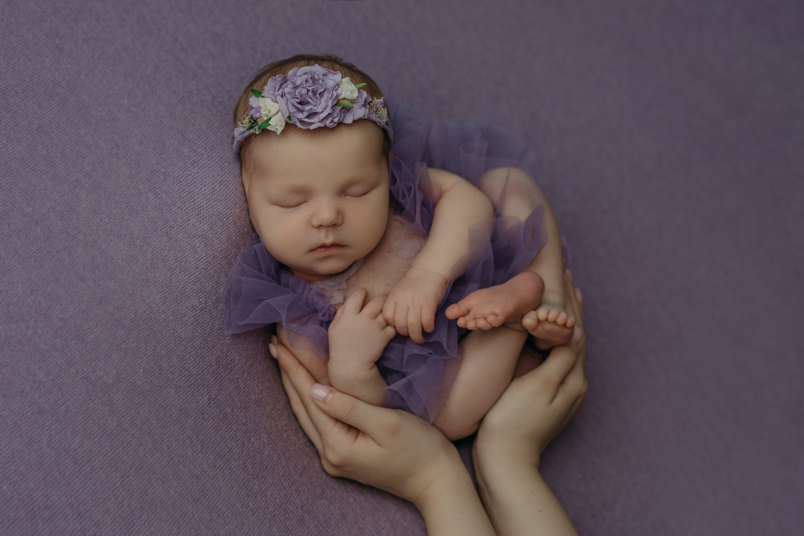 Ева. Фотограф новорожденных Белгород