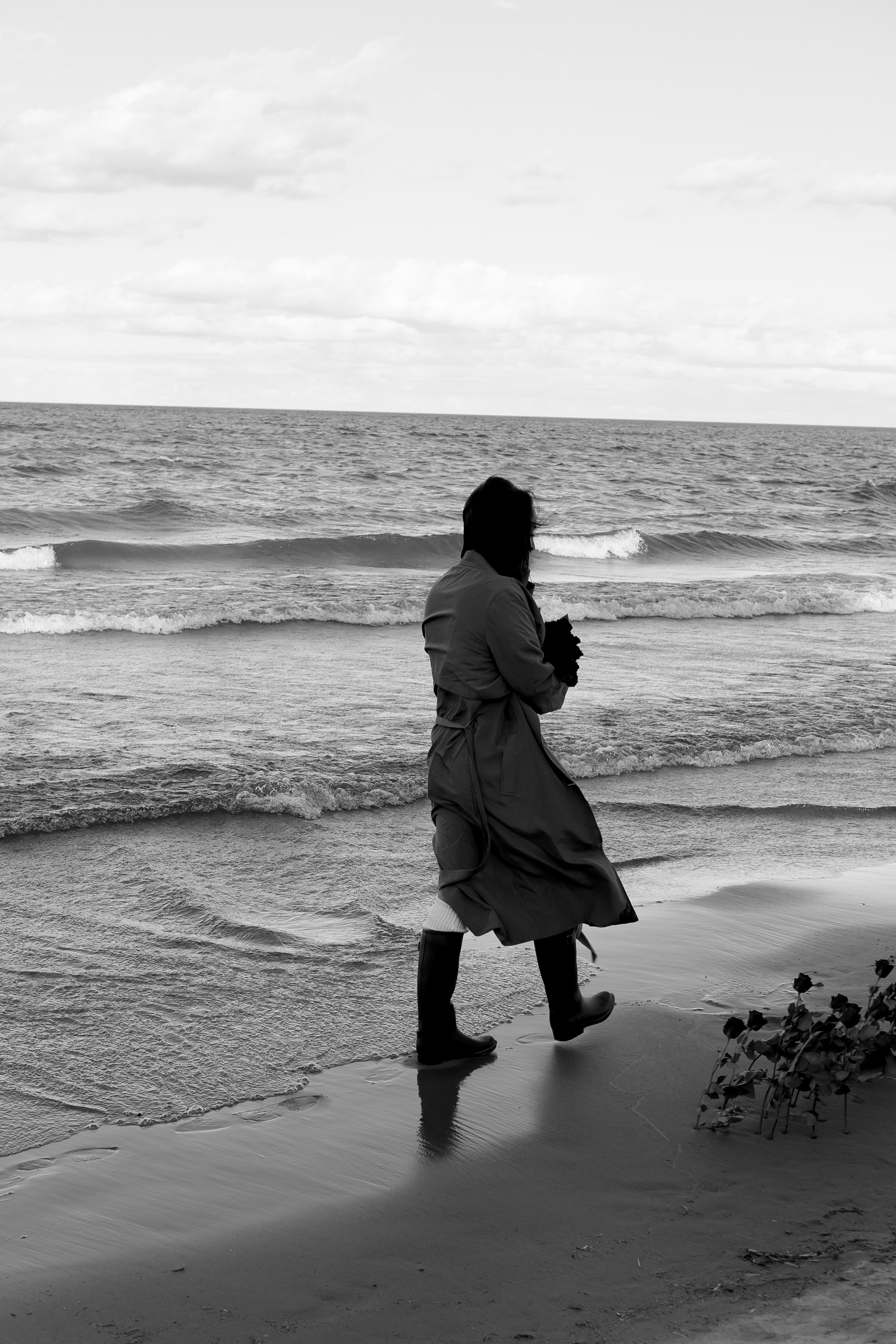 Розы. Профессиональный фотограф, Санкт-Петербург — Виктория Богомолова