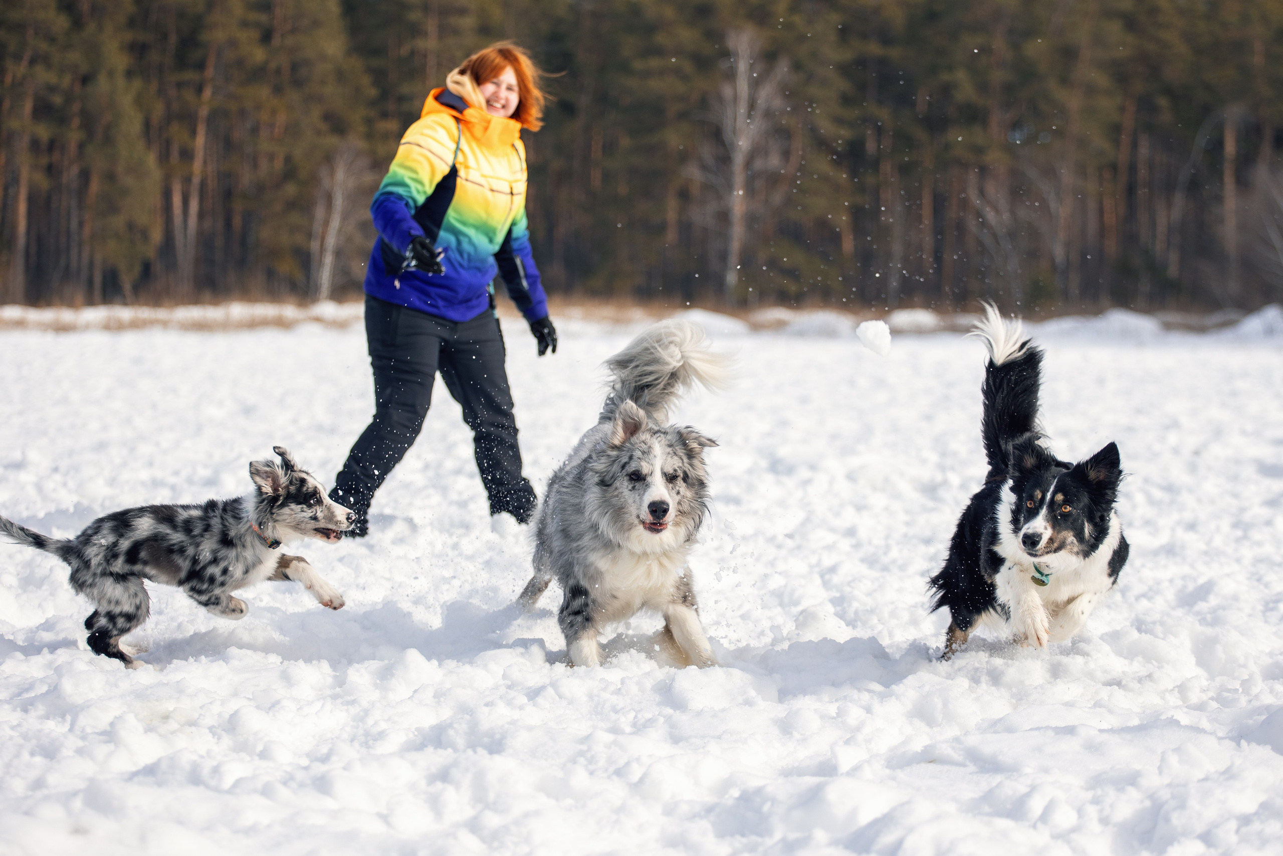 В погоне за снежком…. YULA KOLESOVA | Фотограф — Анималист | Художник | Тюмень