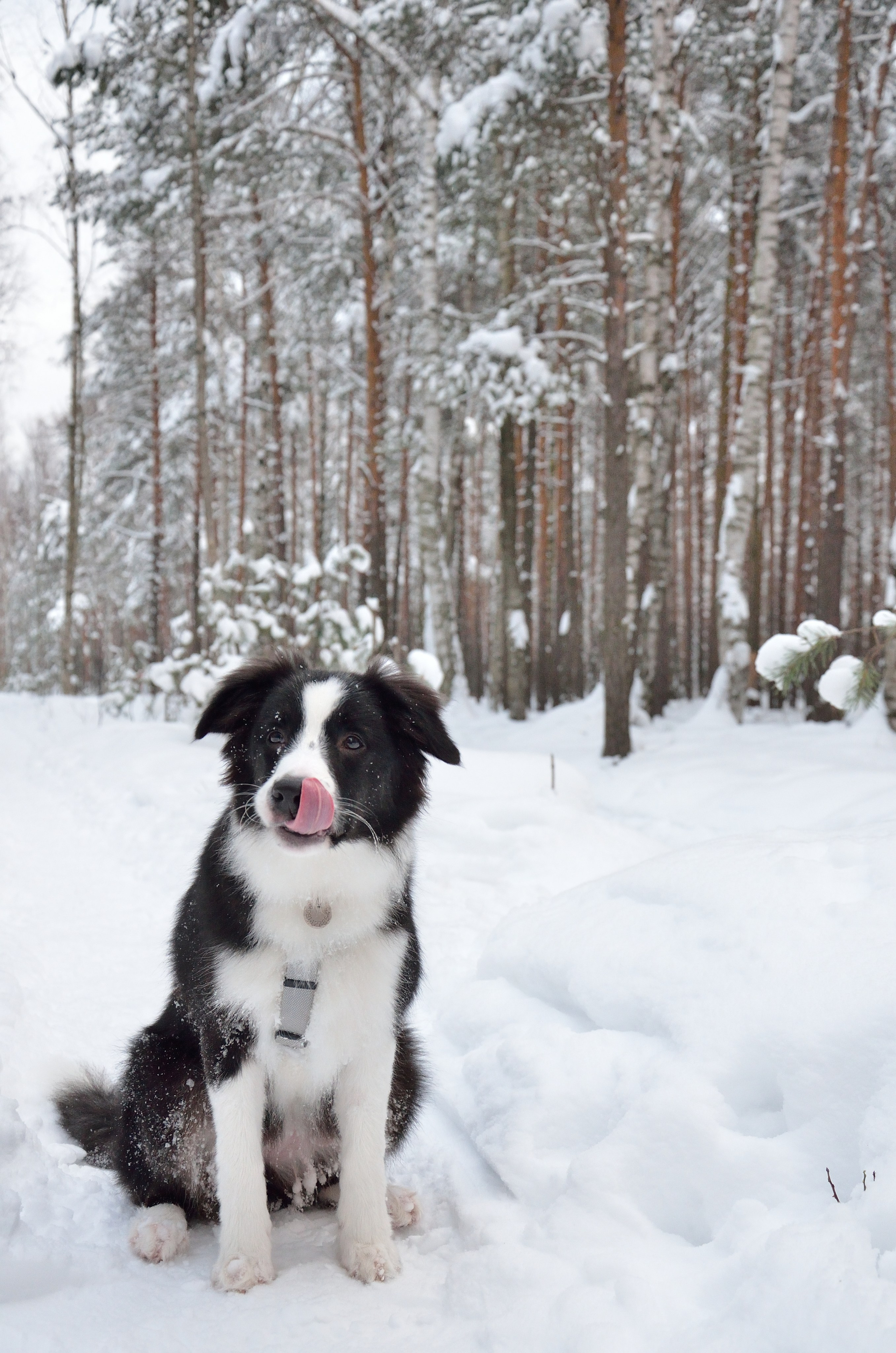 Муня. Добро пожаловать на мой сайт, меня зовут Наталия, я фотограф