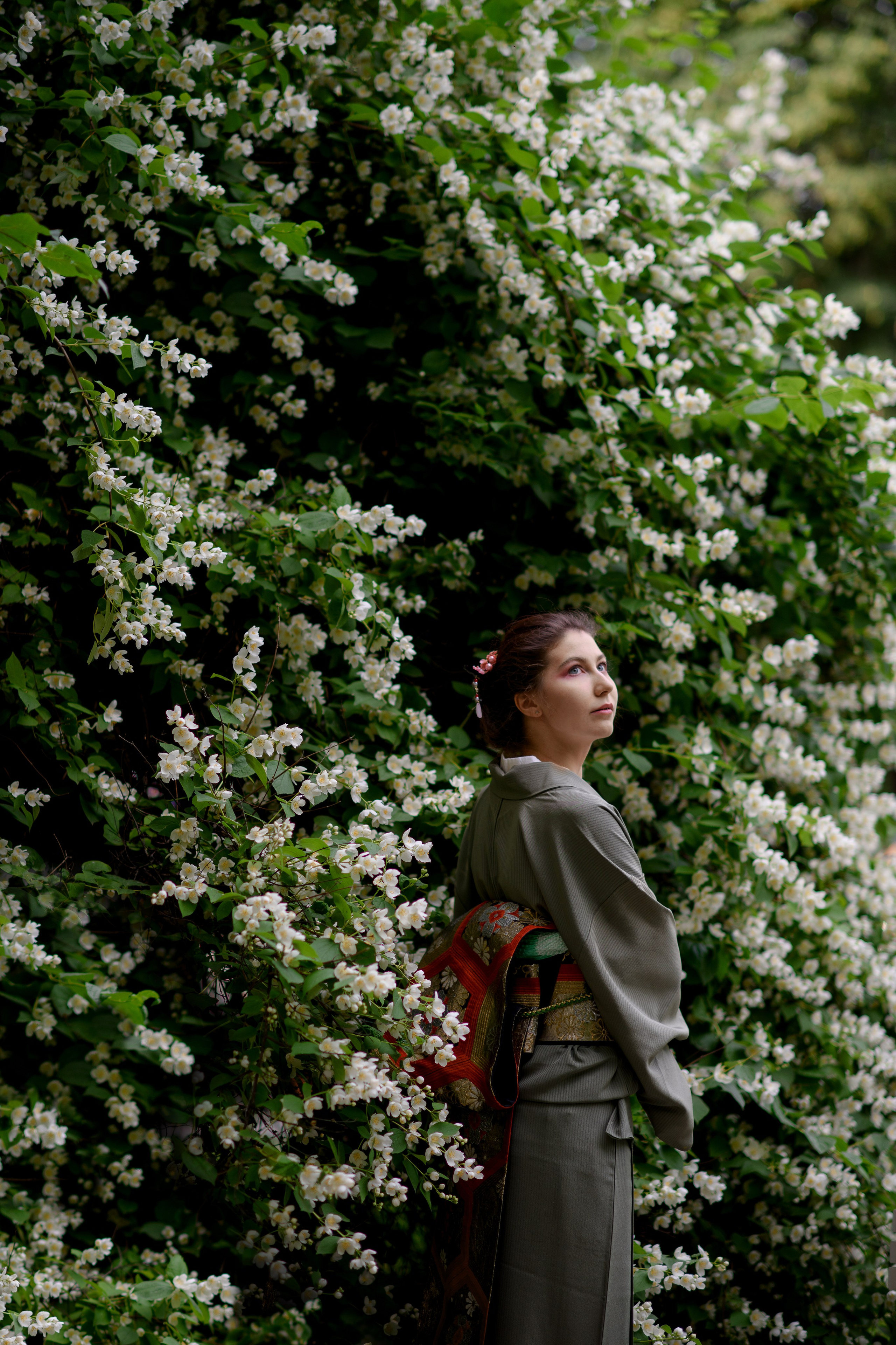 Фотосессия в цветущем чубушнике в саду им. Баумана. Главная