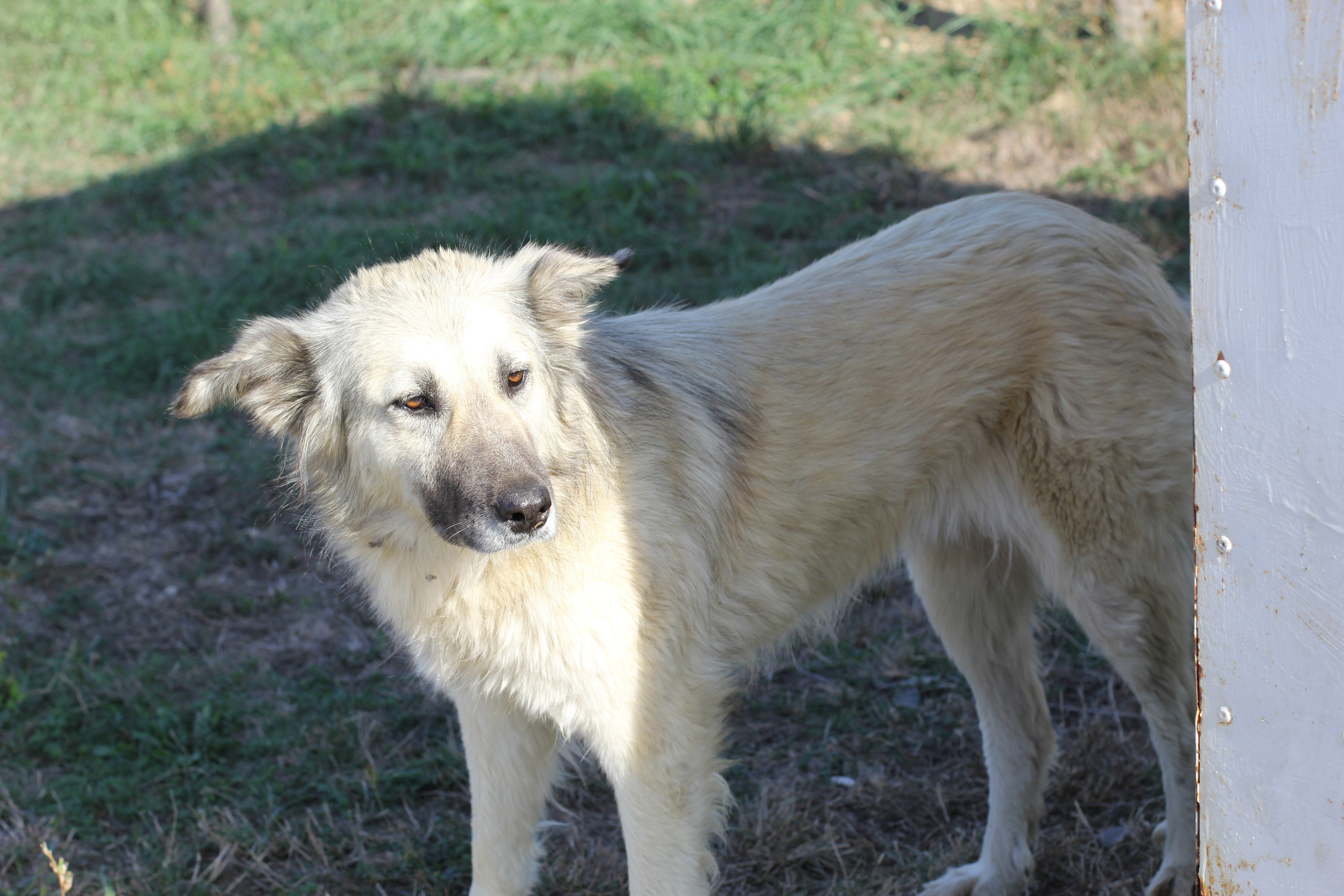 Рыбалка в Горячем Ключе (2024-09-24). Собор Отрасли