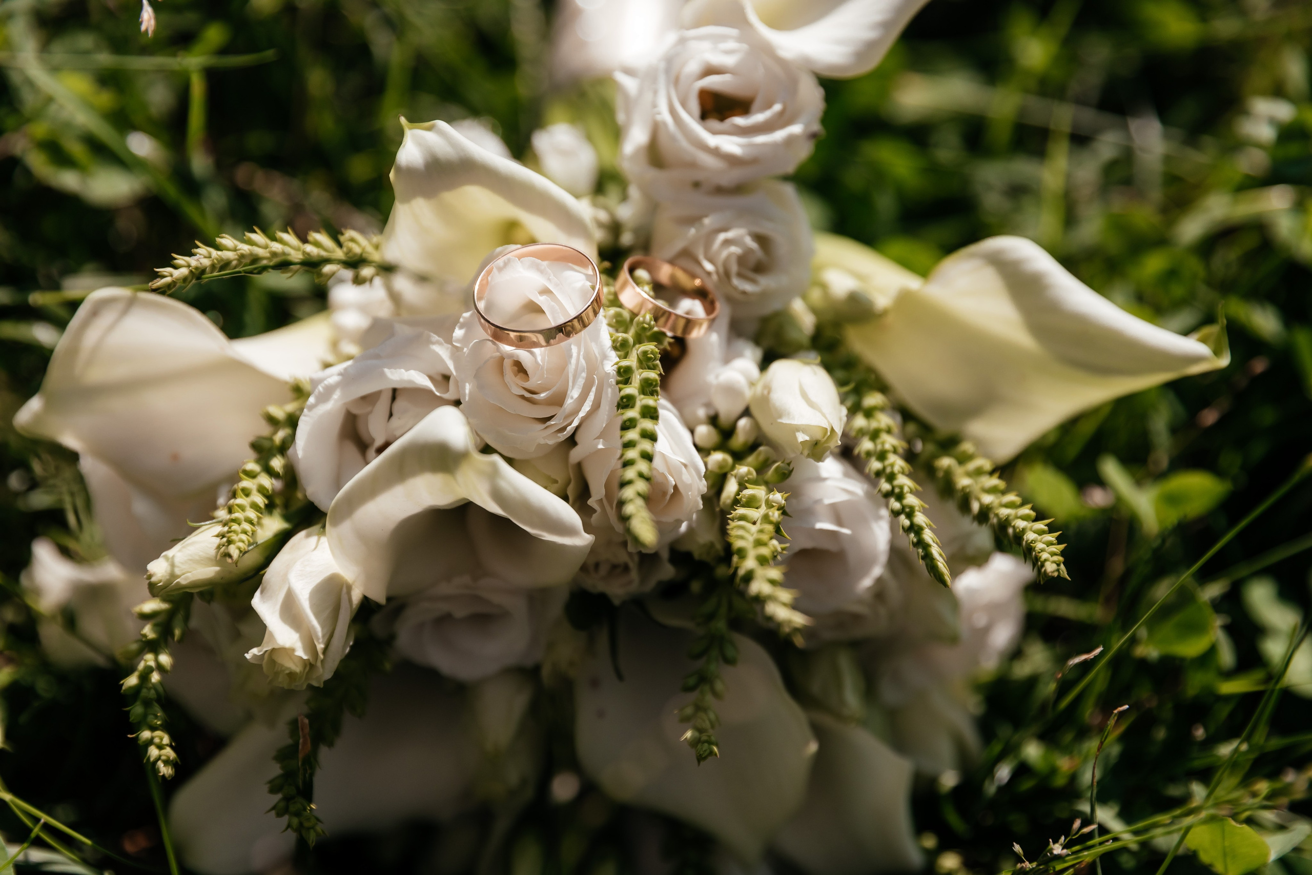 Сергей и Аля. Свадебный фотограф в Сочи, СПБ, Москве Бражников Сергей