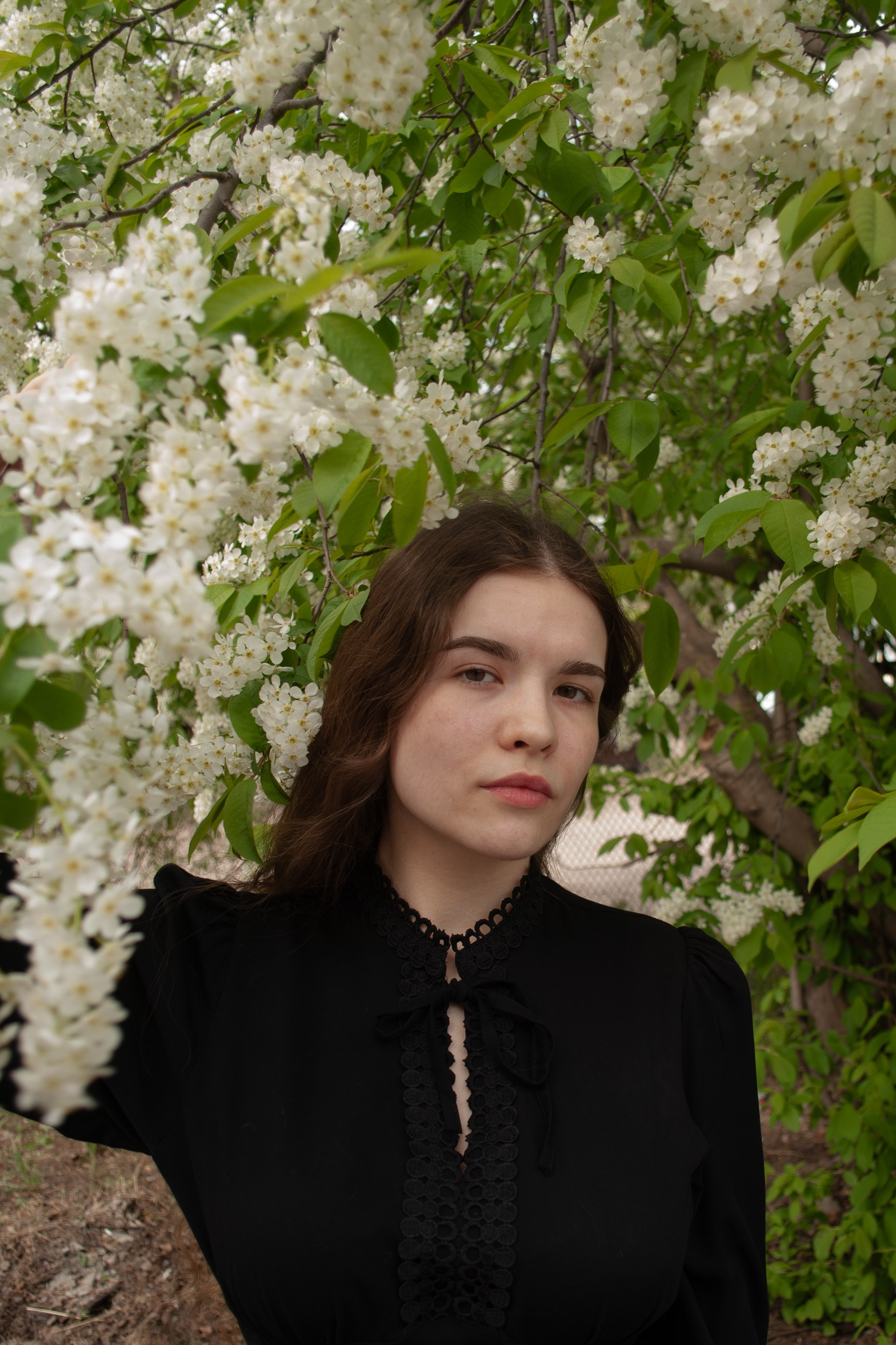 Цветение. Alina.Dvt — профессиональный фотограф|Красноярск