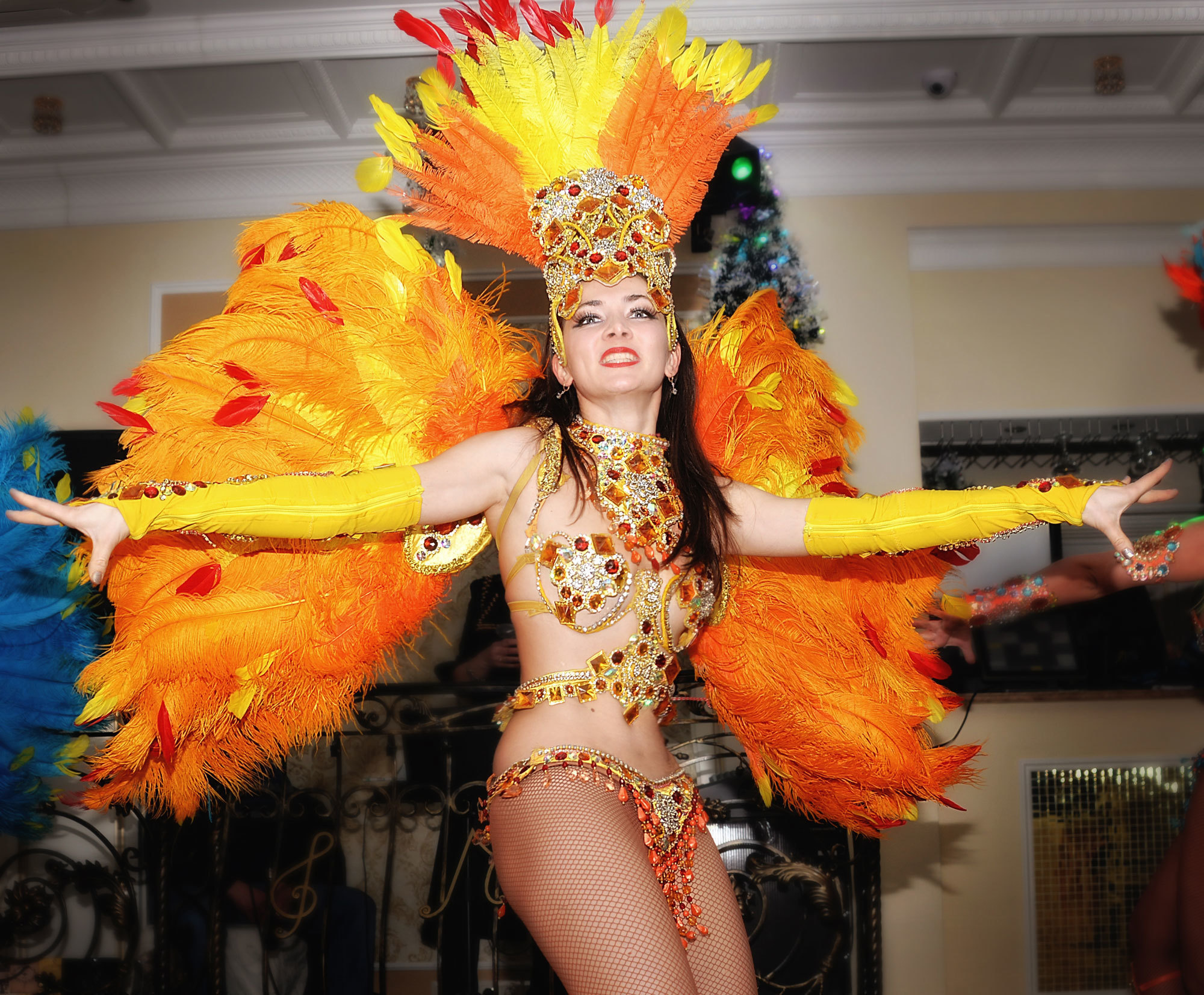 шоу на новый год