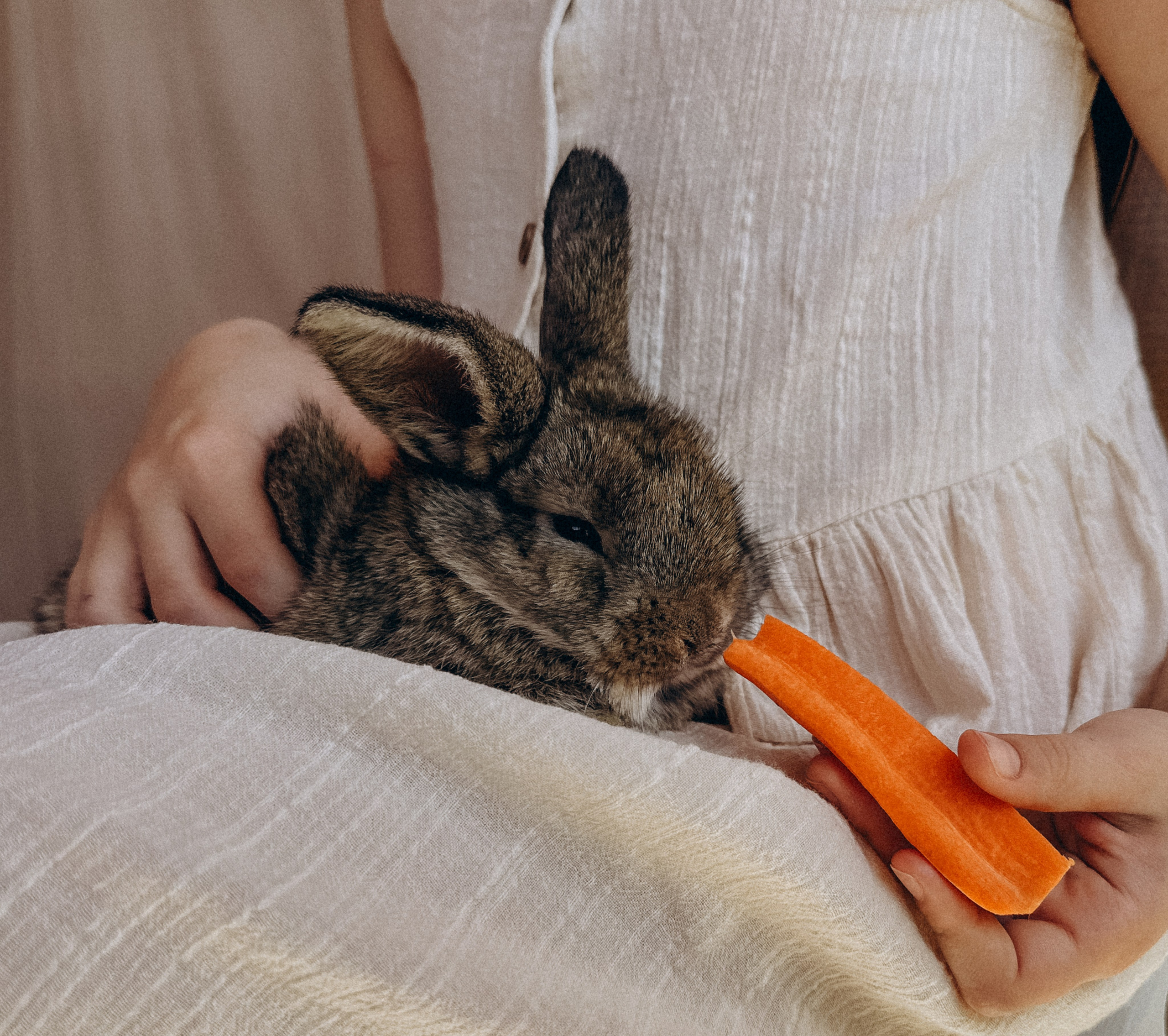 УШАСТАЯ ИСТОРИЯ…. FotoTanya. Раменское/Жуковский/Бронницы