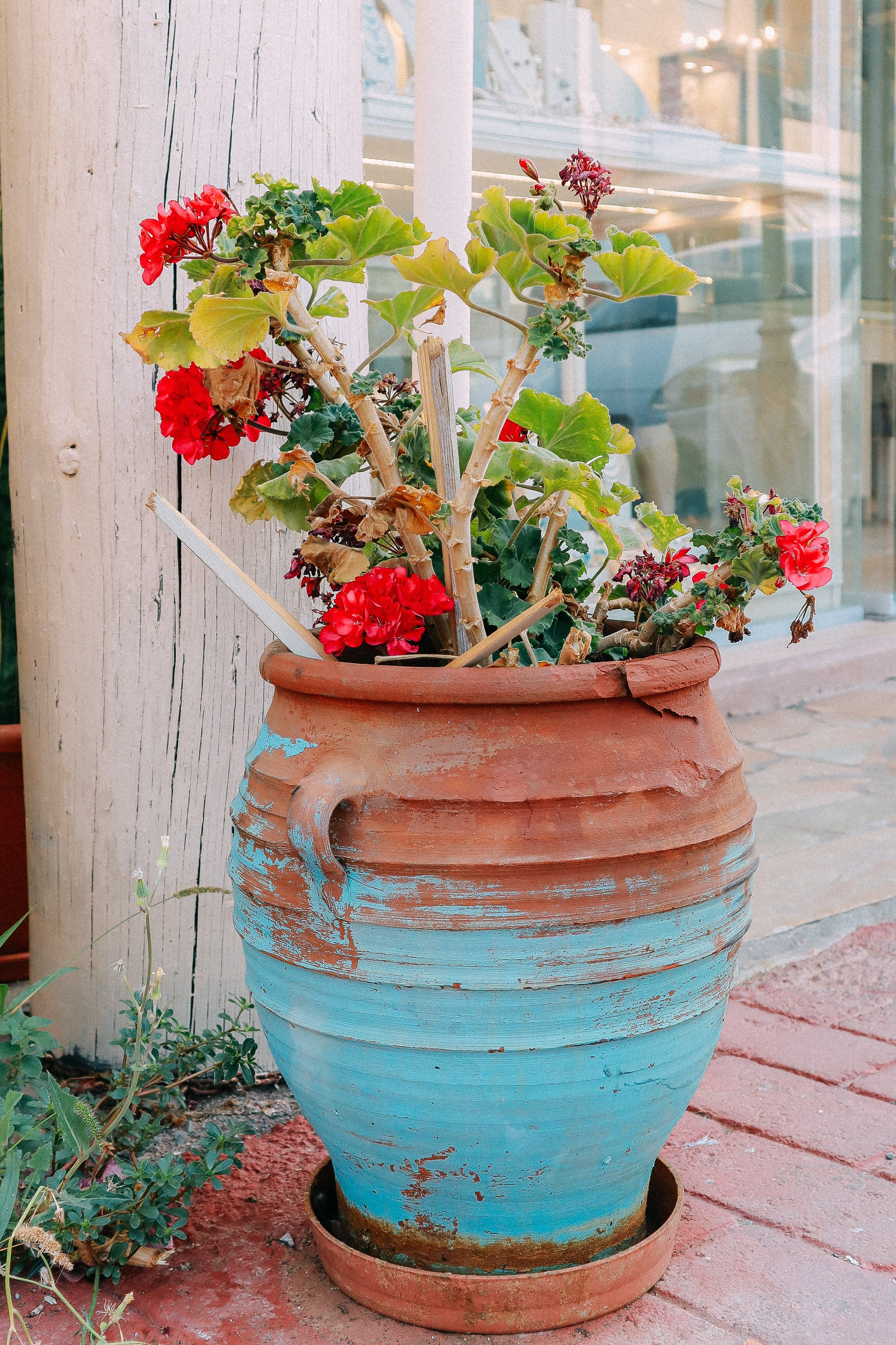 Крит. Аня Степанова