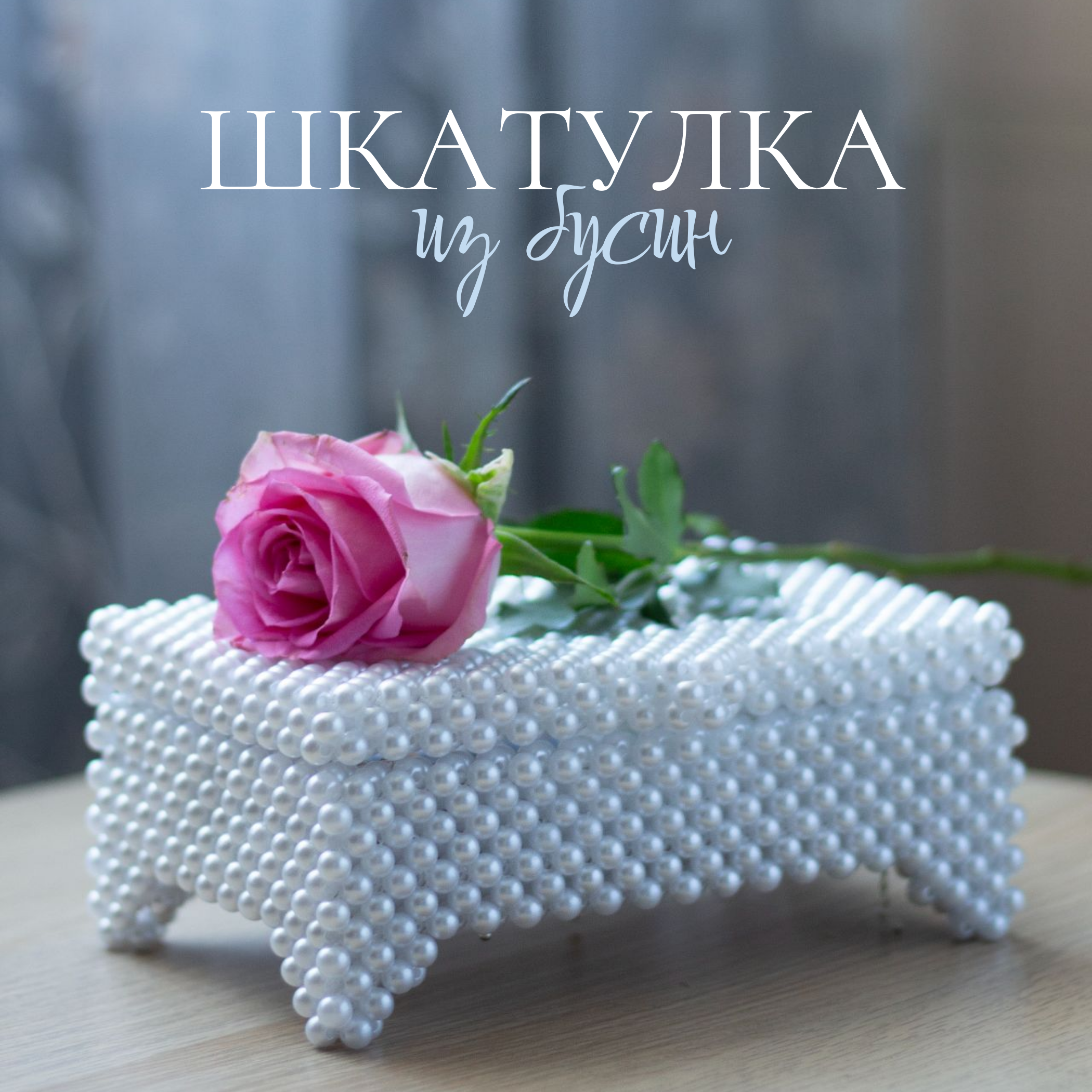 Инфографика. Фотограф Инна Степанова, Орел