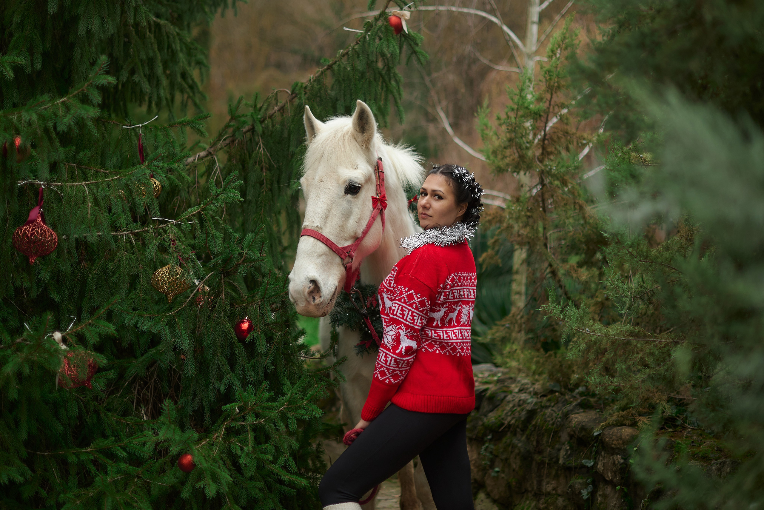 Диана, Гром и Мандаринка. Фотограф в Севастополе