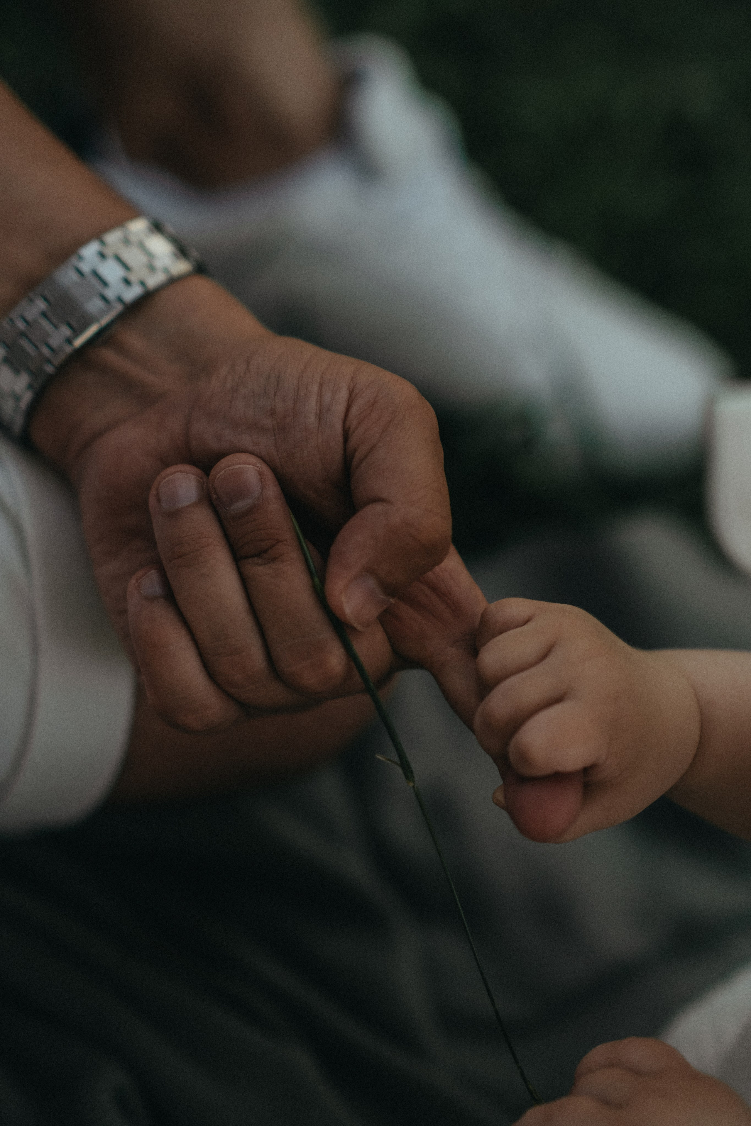 Прогулочные истории. Семейный фотограф в Москве Ксения Аганина
