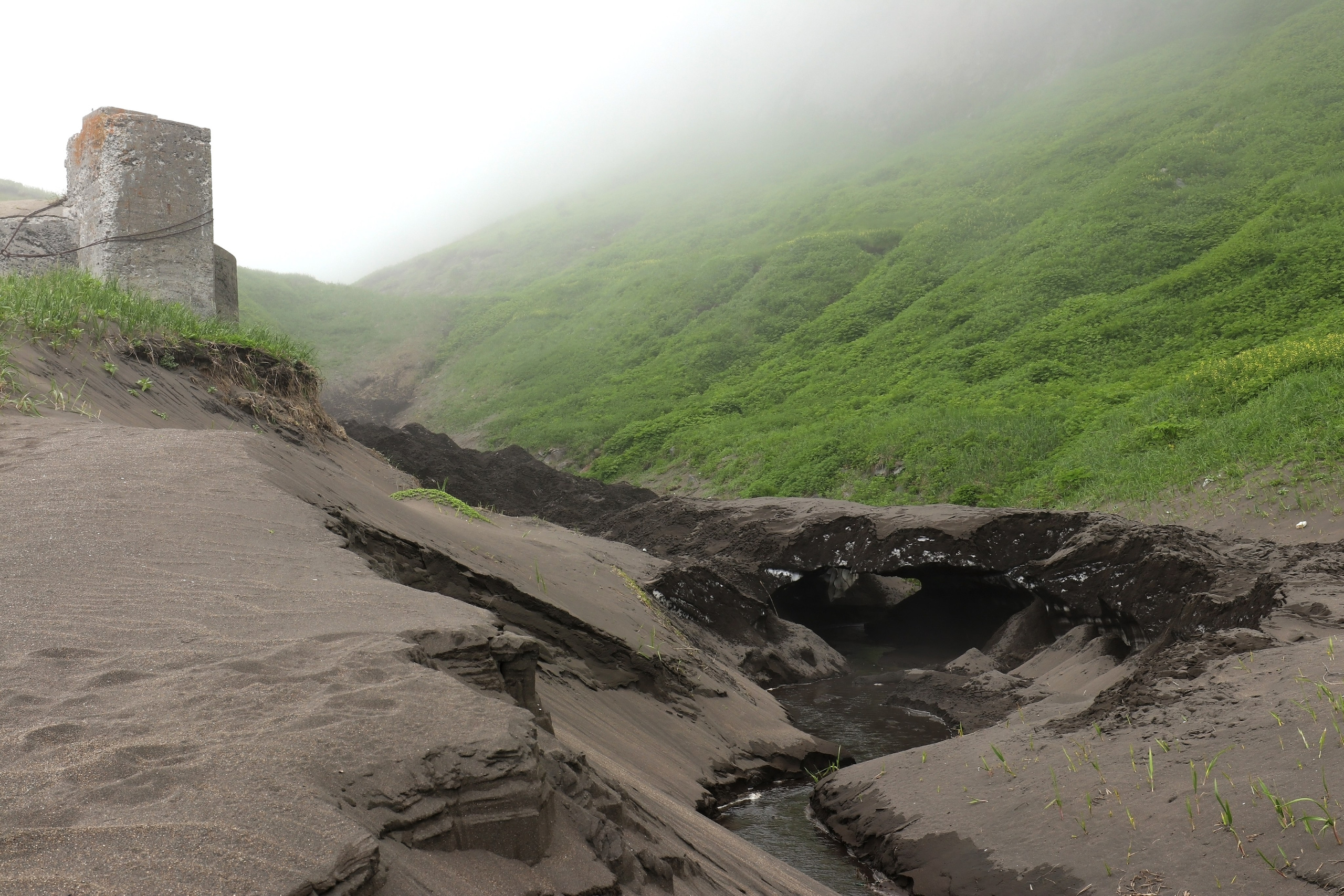 Камчатка и о. Парамушир. Июль 2024. Путешественник-фотограф из Санкт-Петербурга Татьяна Свистулина