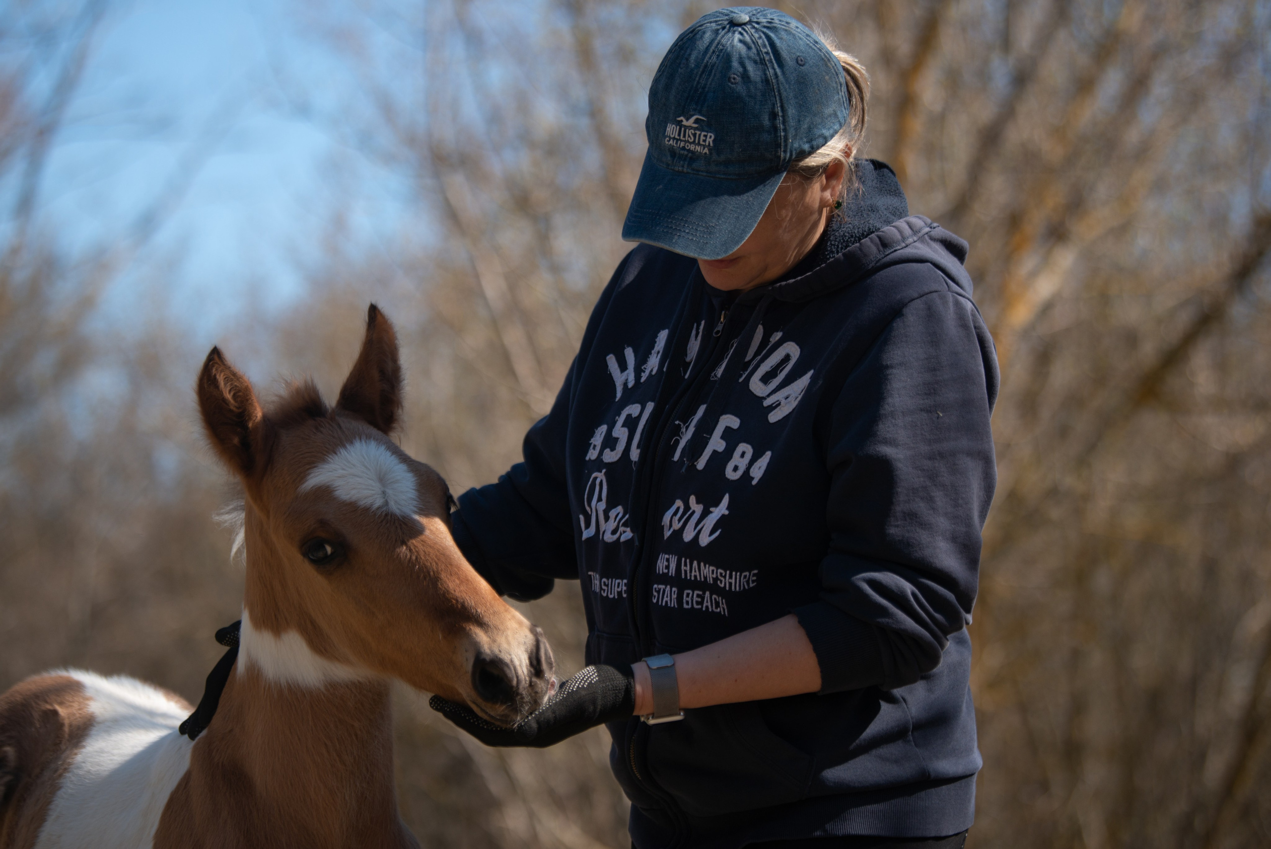 Жеребёнок Митяй. Конный фотограф в Саратове Юлия Иванова