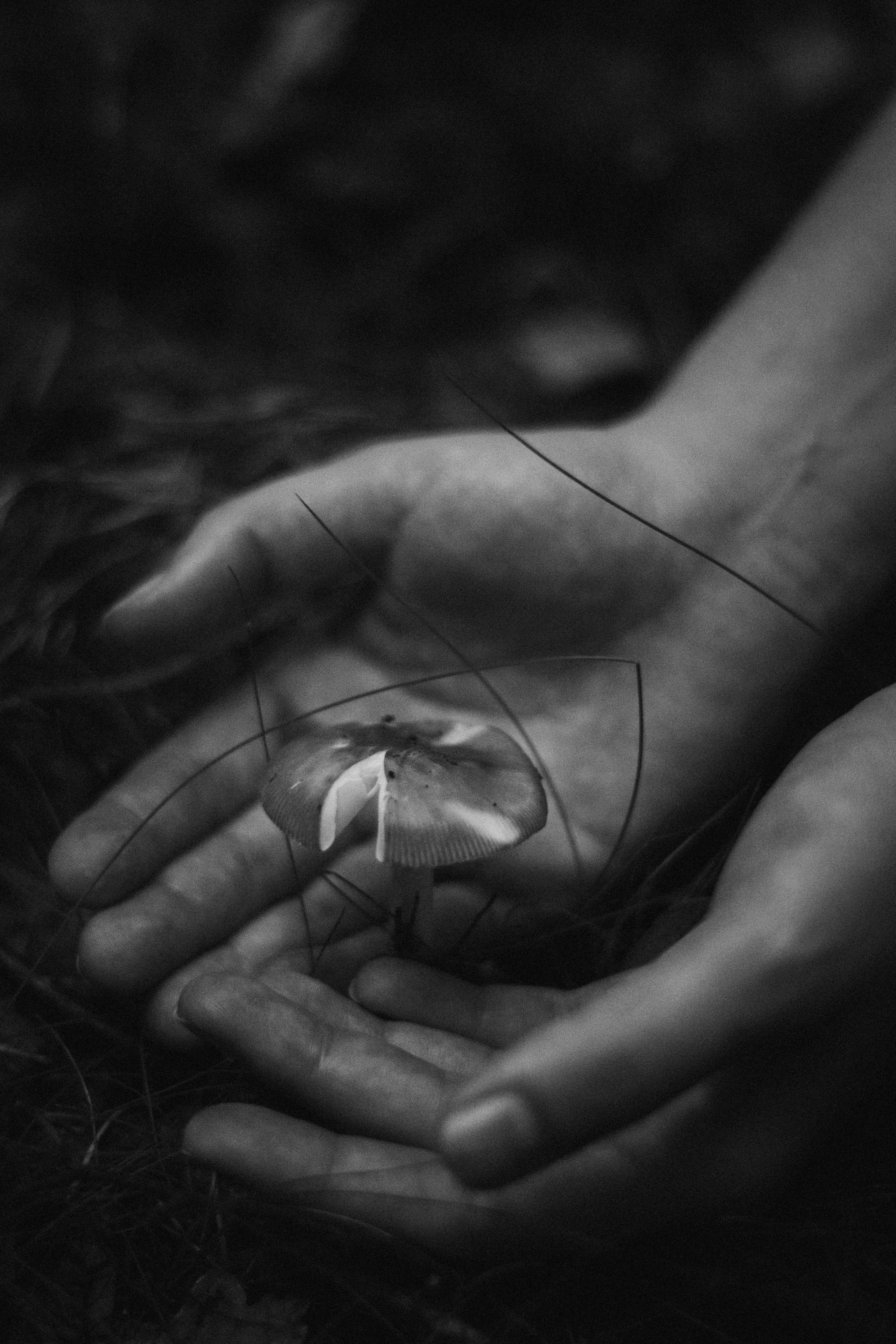 Вика. Репортажный фотограф в Санкт-Петербурге Диана Ларченкова