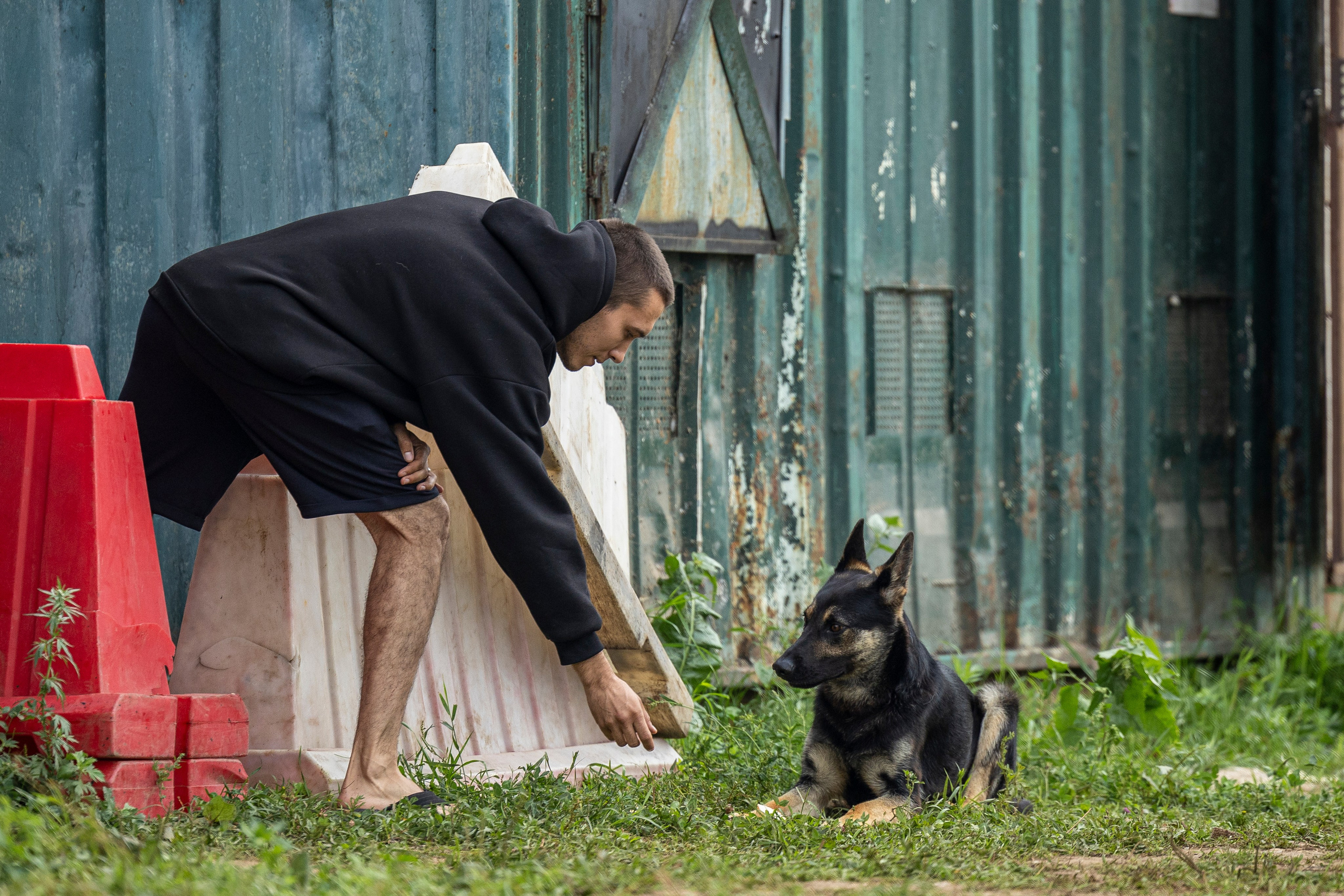 Соревнования по Мондьорингу г. Вологда 10-11.08.2024. Фотограф-анималист Анна Маринич