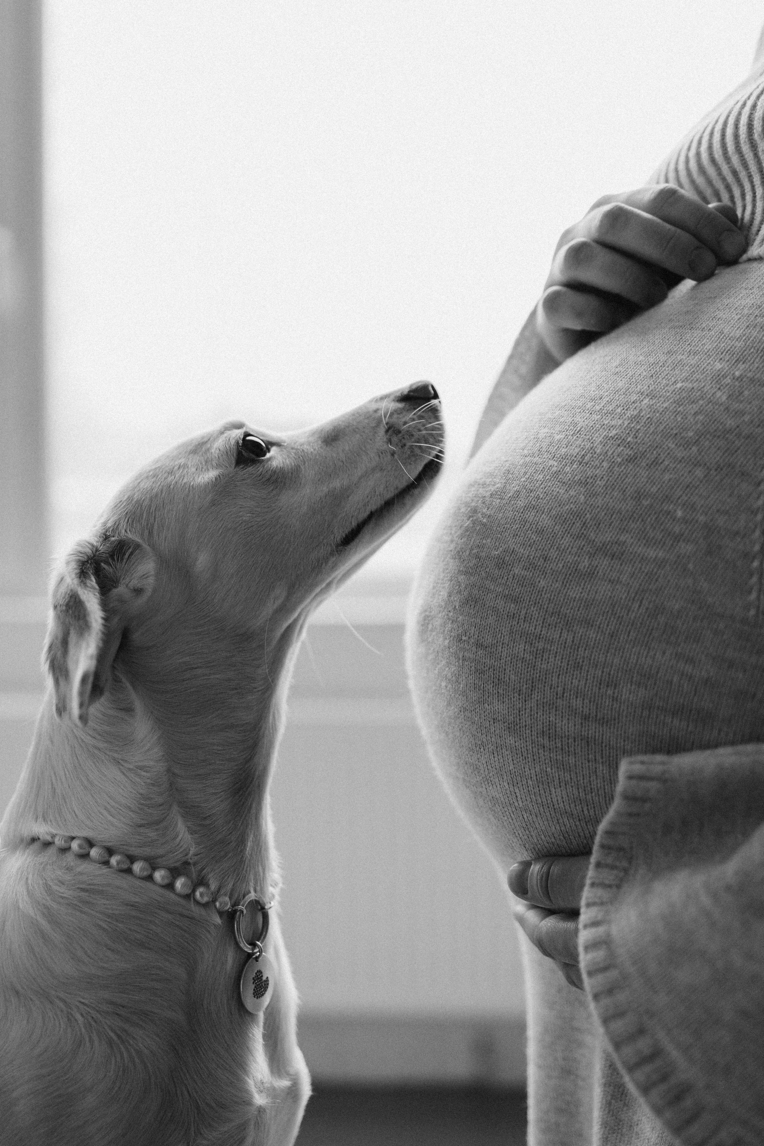 Луна и ее семья. Фотограф — Анималист | Санкт-Петербург