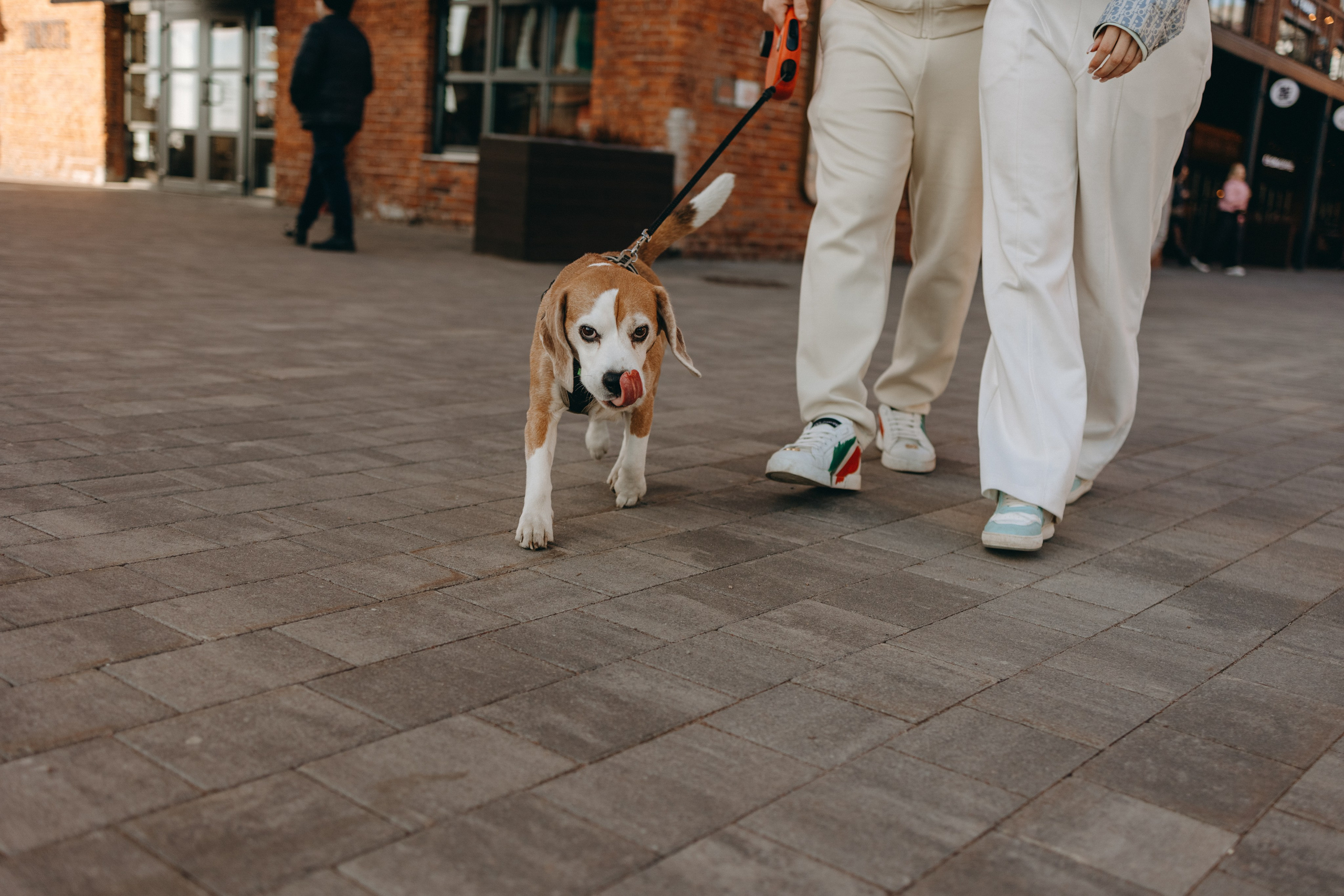 Даня и его семья. Фотограф — Анималист | Санкт-Петербург