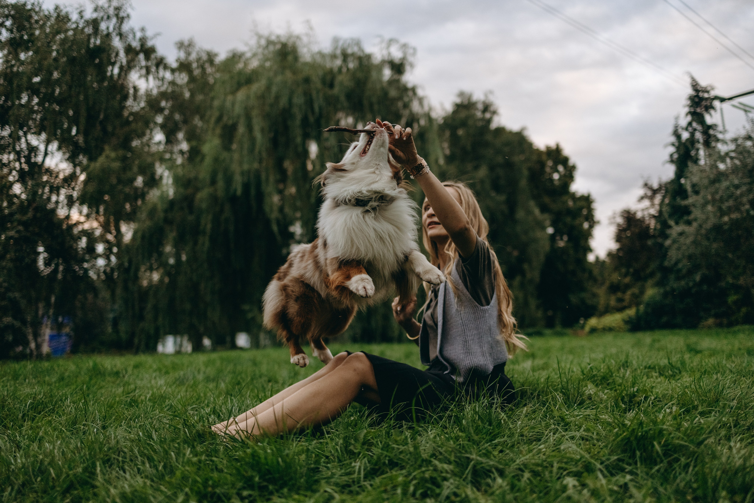 Маша и Эклер. Фотограф — Анималист | Санкт-Петербург