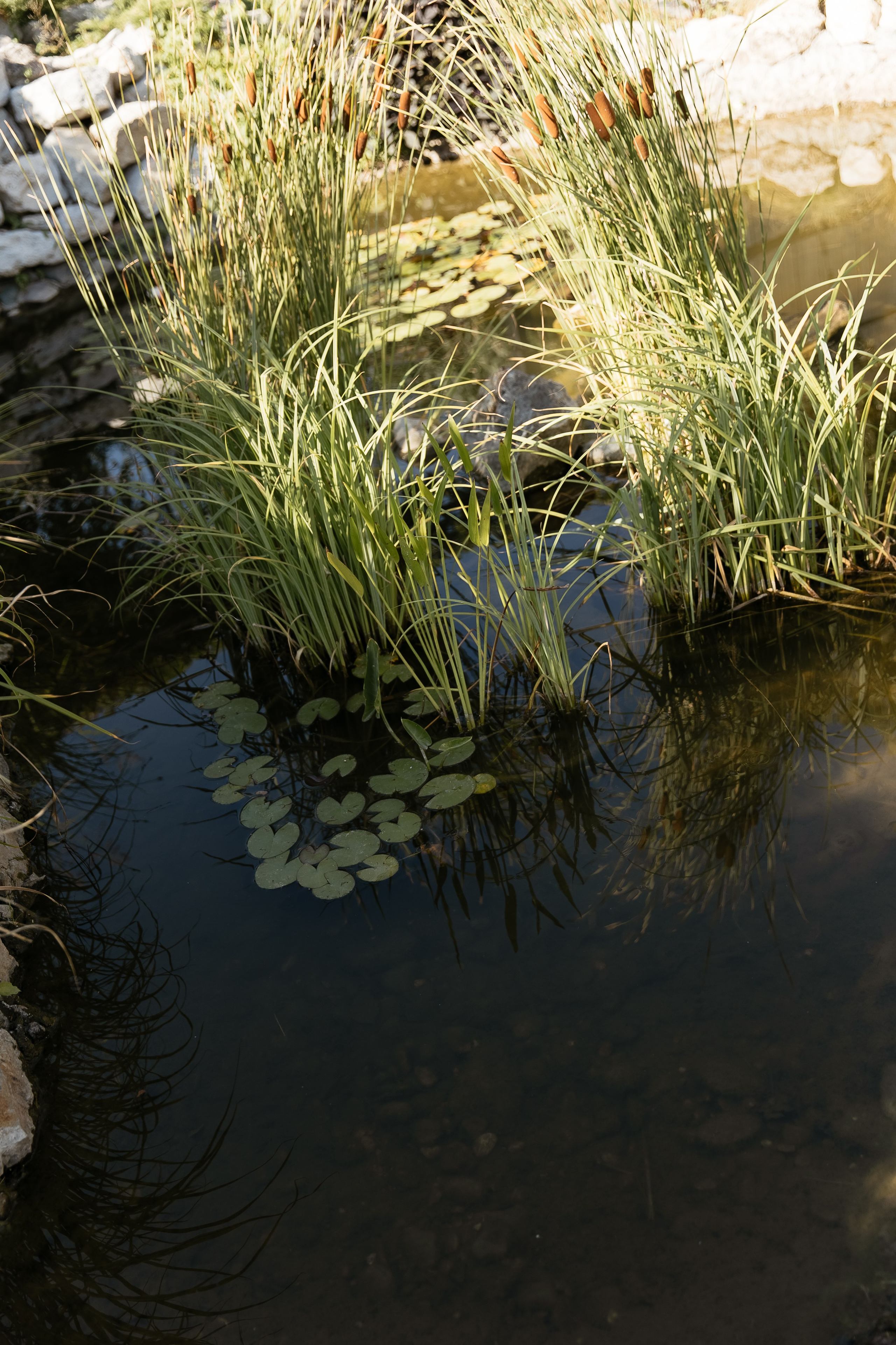 И&Л. Свадебный фотограф