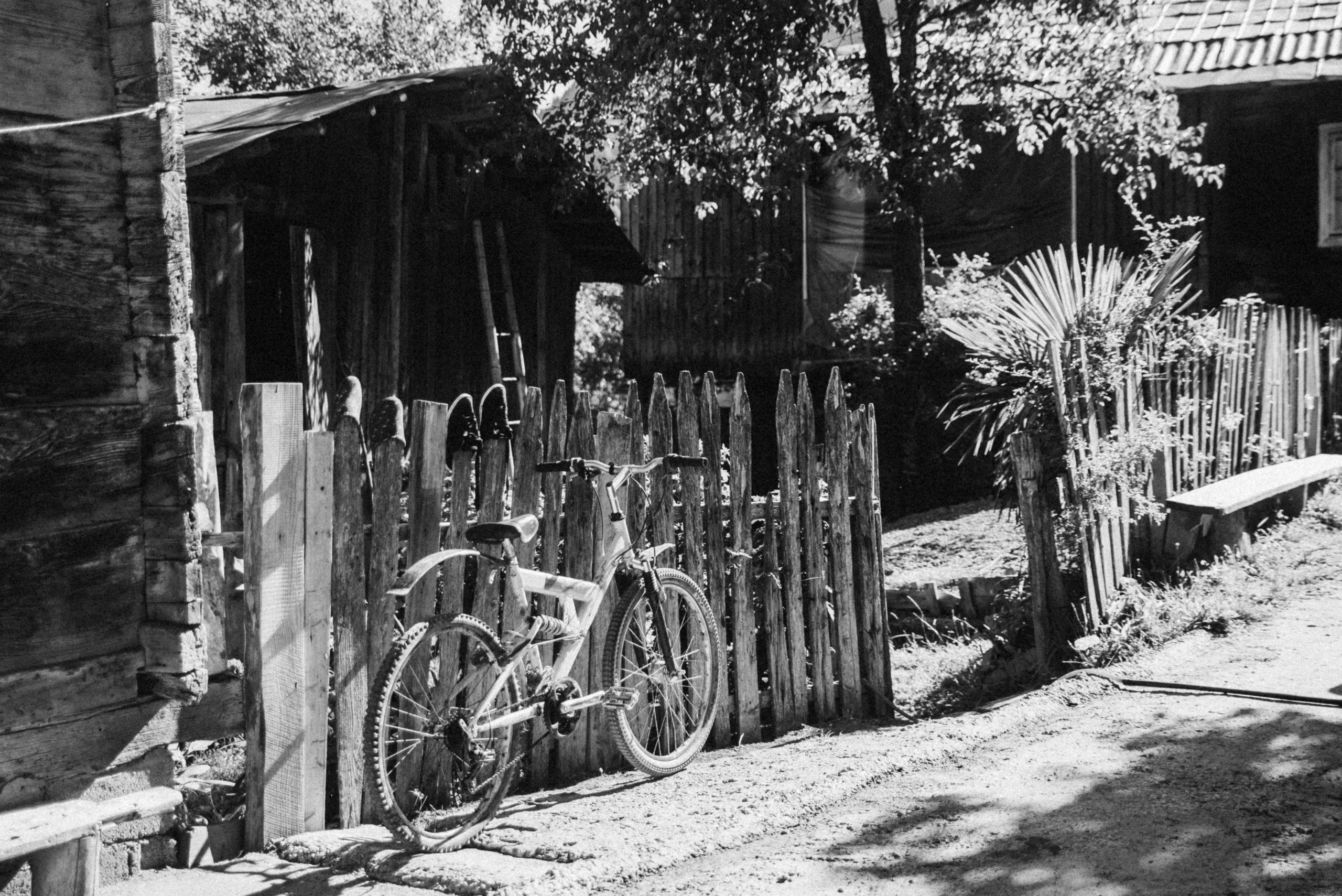 Верхняя Аджария, Грузия 🇬🇪. Anita_photo