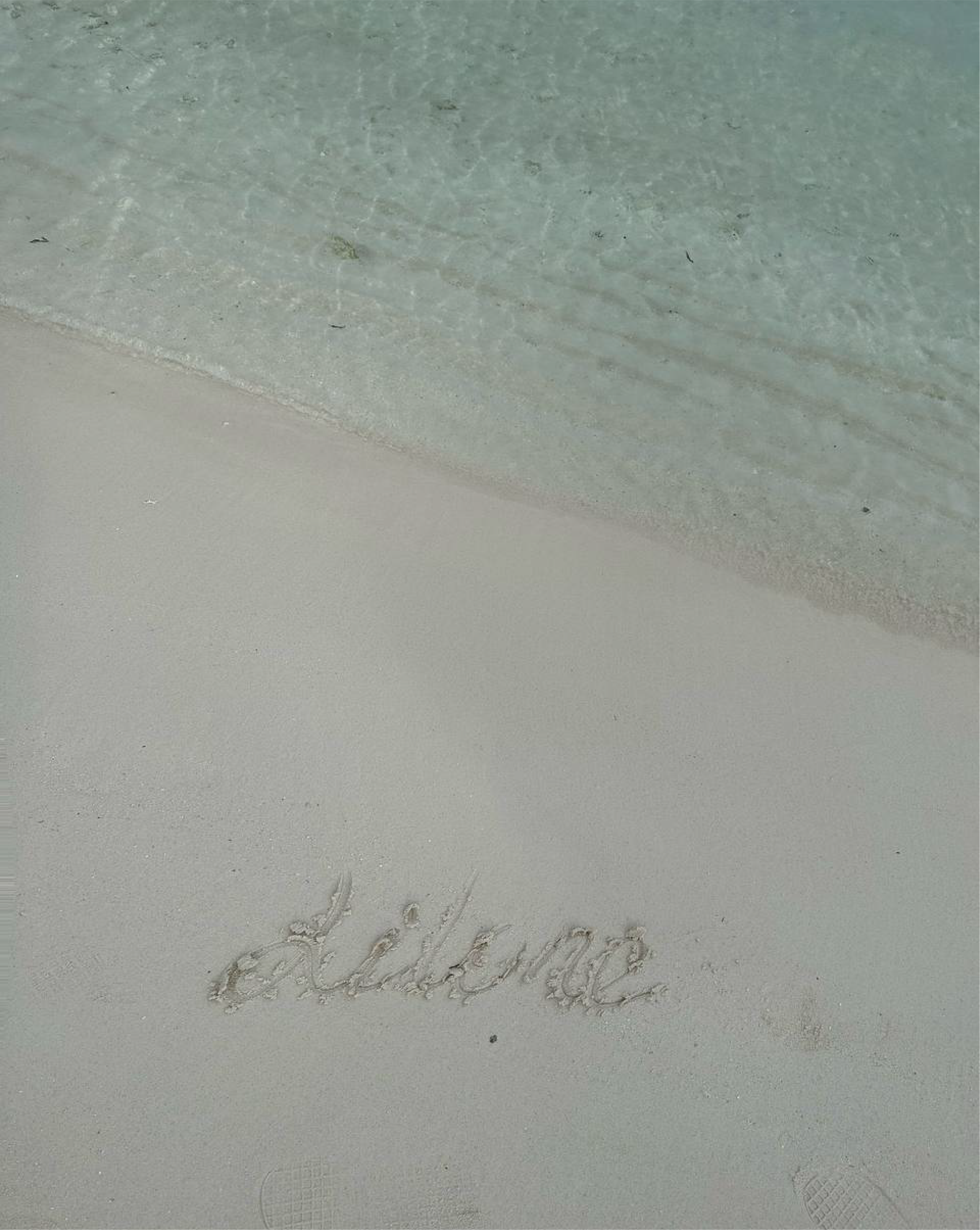 LILONE. Arina is a creative Graphic Designer