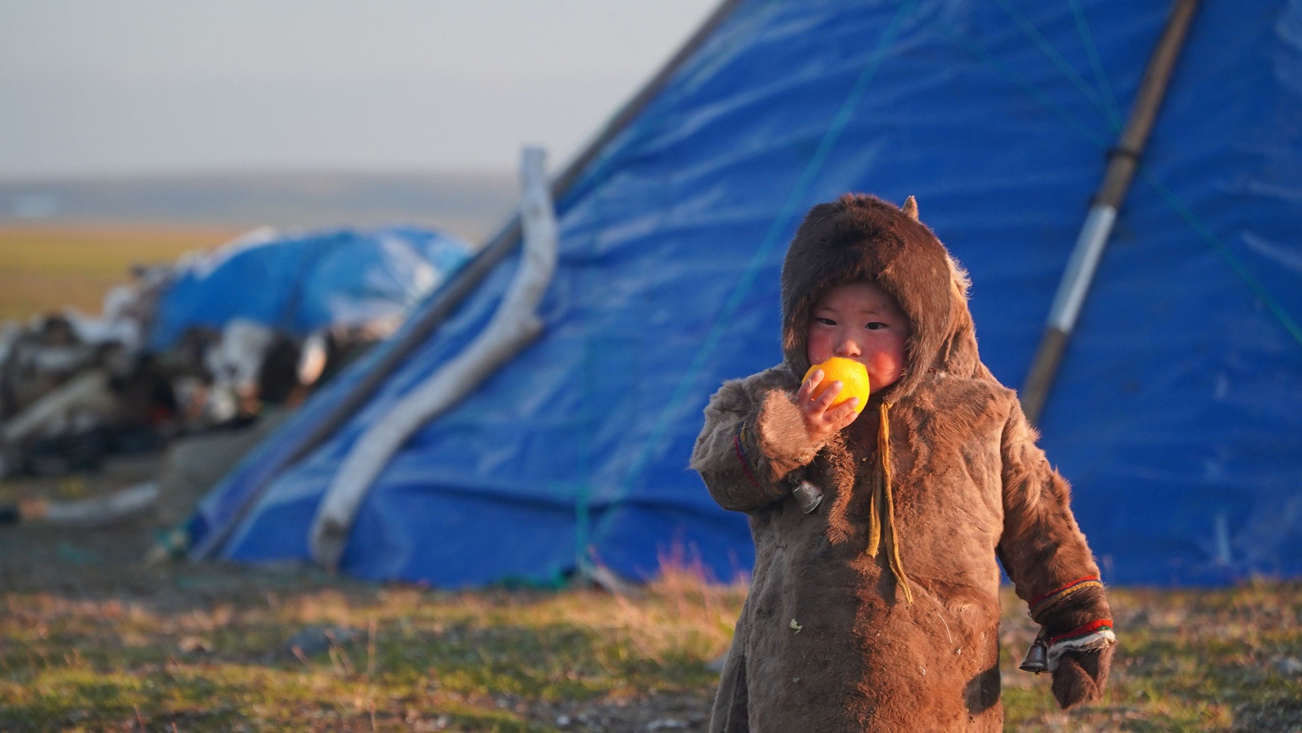 Амдерма — наука (2020 г.). Фотоальбом показывающий увлекательный мир авиации и мир медведей Андрея Иванова