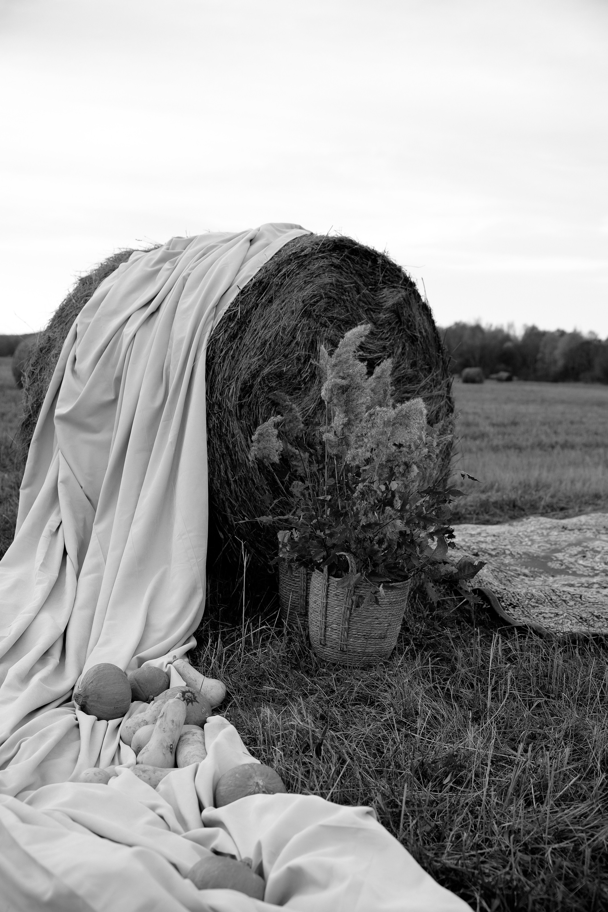 Ясная Поляна. Свадебный и семейный фотограф  во Владивостоке Ольга Украинец