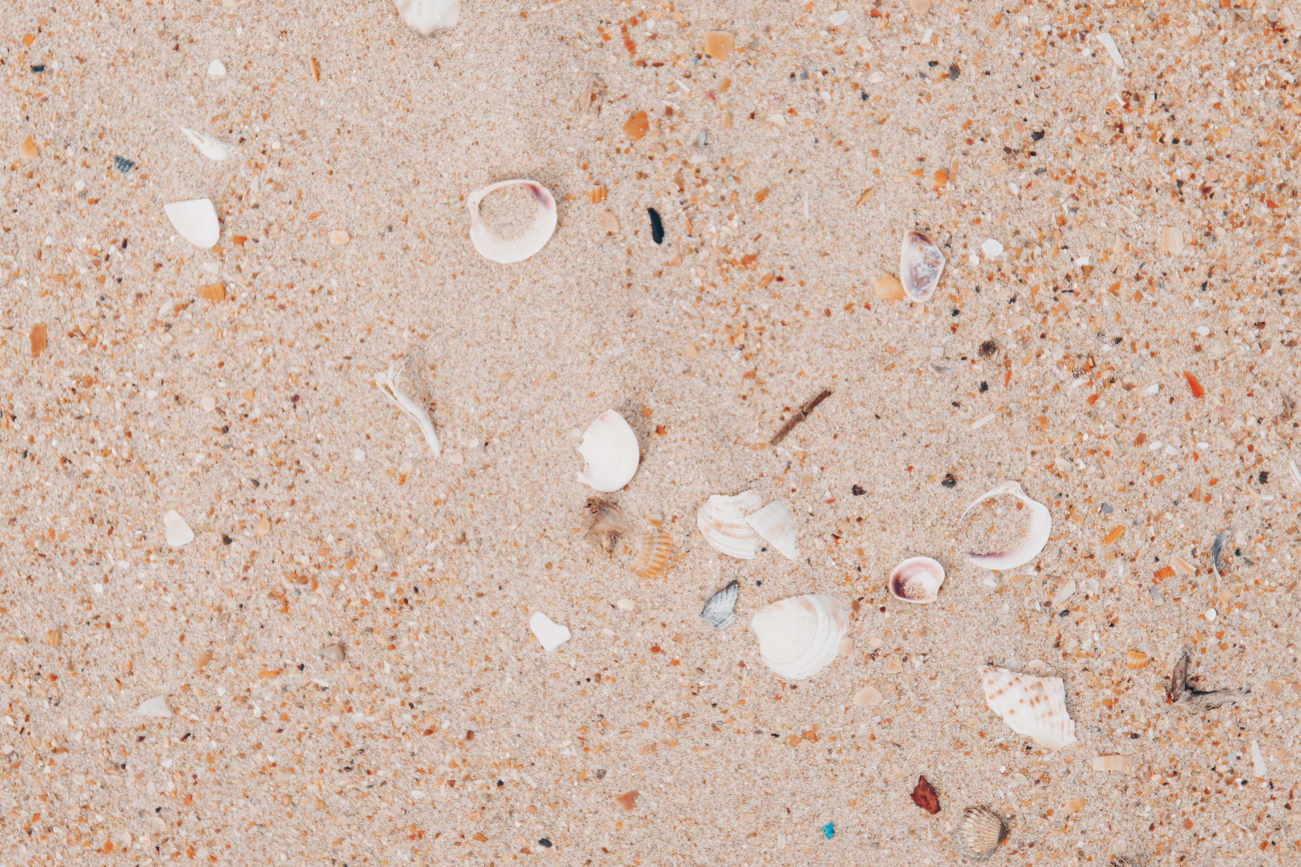 Любить в Анапе…. Свадебный  и семейный фотограф в Краснодаре