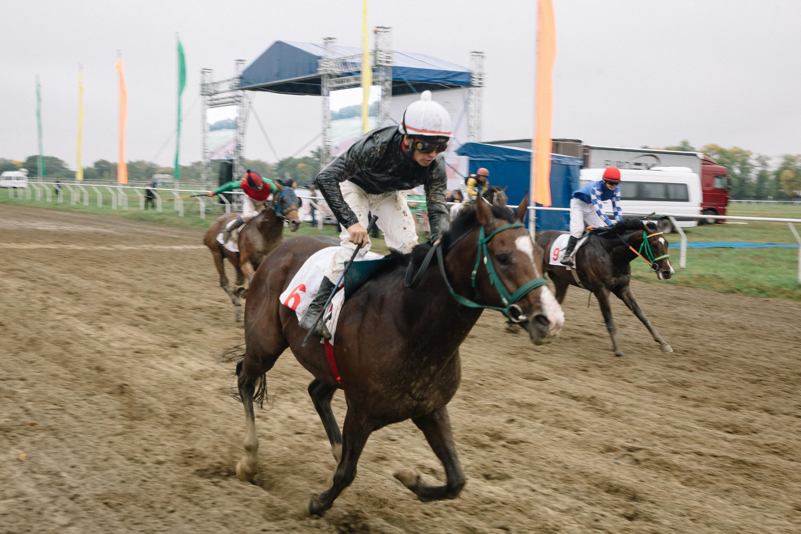 100-летие государственности Республики Адыгея. Скачки. Семейный и свадебный фотограф в Майкопе Михаил Мартиросян