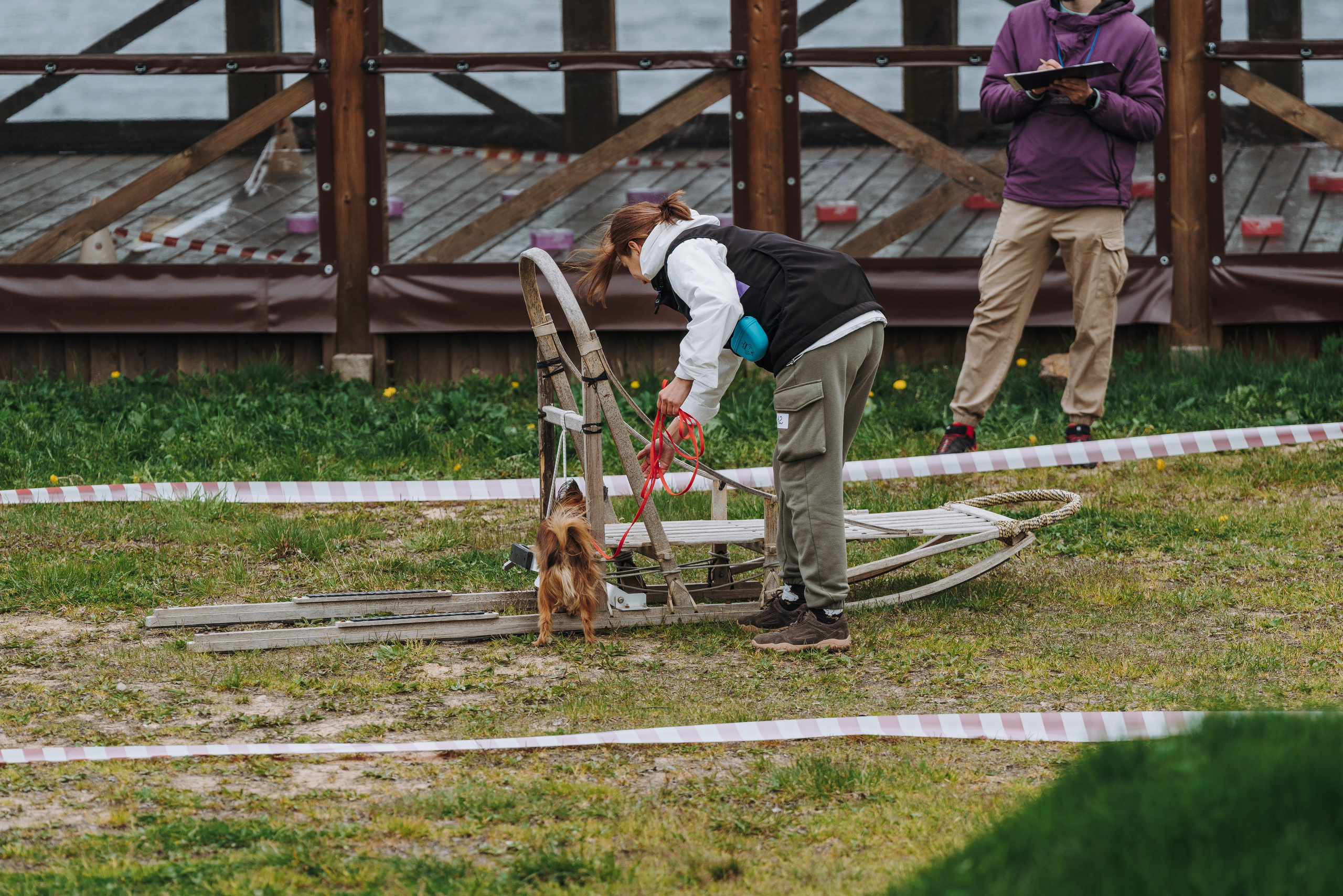 Соревнования по ноузворку в Лосево. Фотограф анималист в Спб недорого Олеся Майорова