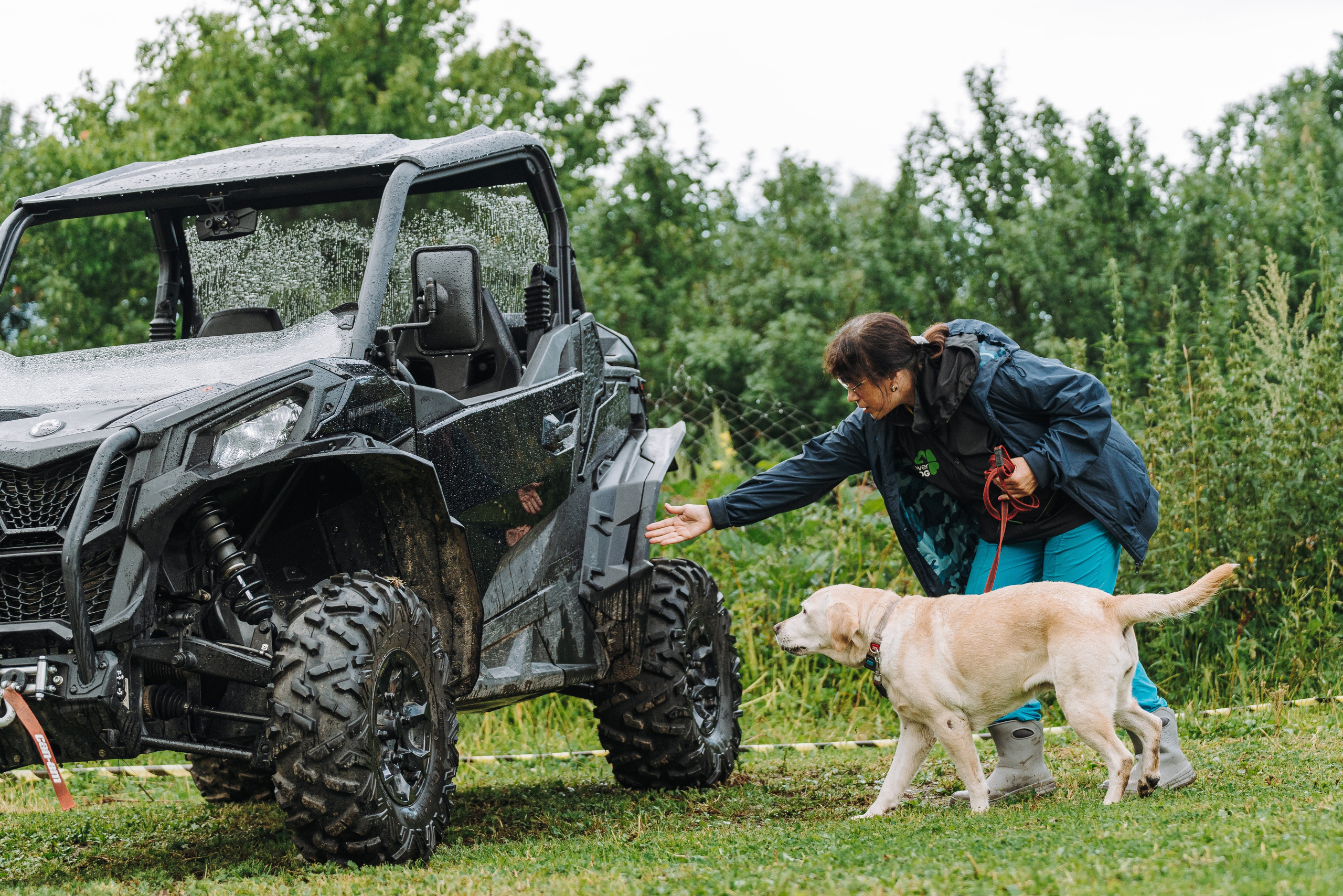 Соревнования по ноузворку в Новожилово. Фотограф анималист в Спб недорого Олеся Майорова