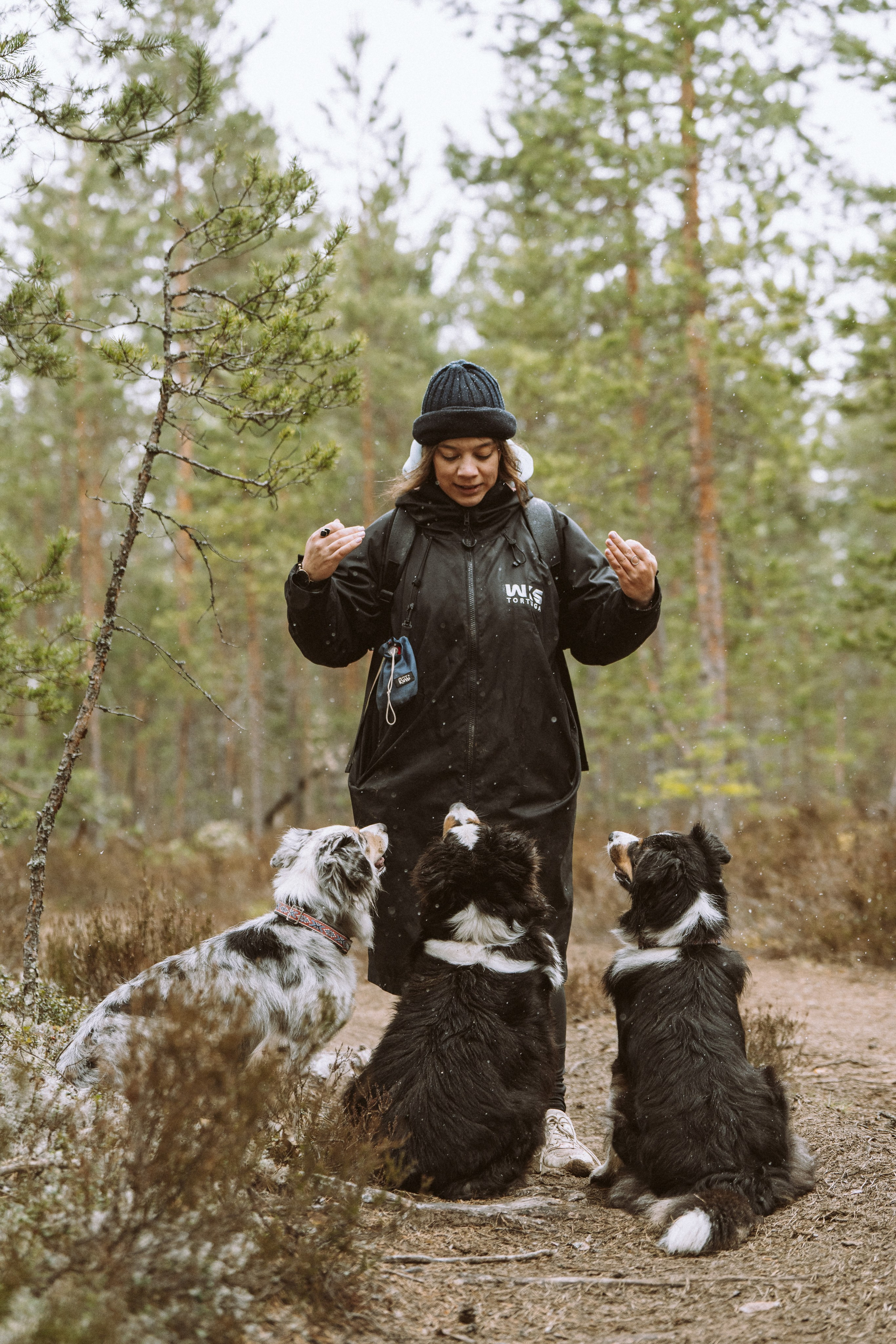 Дог трекинг к финскому хутору. Фотограф анималист в Спб недорого Олеся Майорова