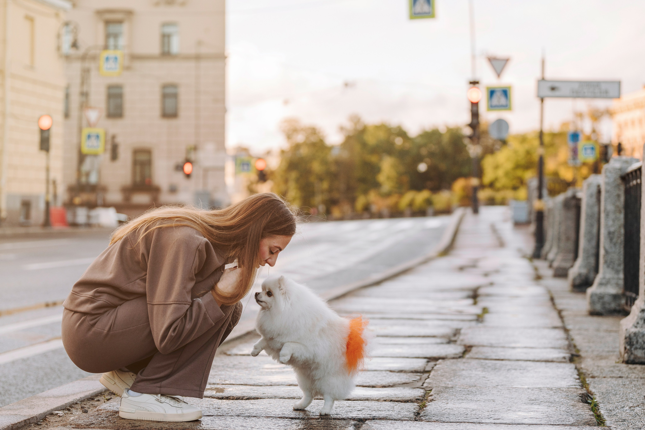 Фотосессия с померанским шпицем. Фотограф анималист в Спб недорого Олеся Майорова
