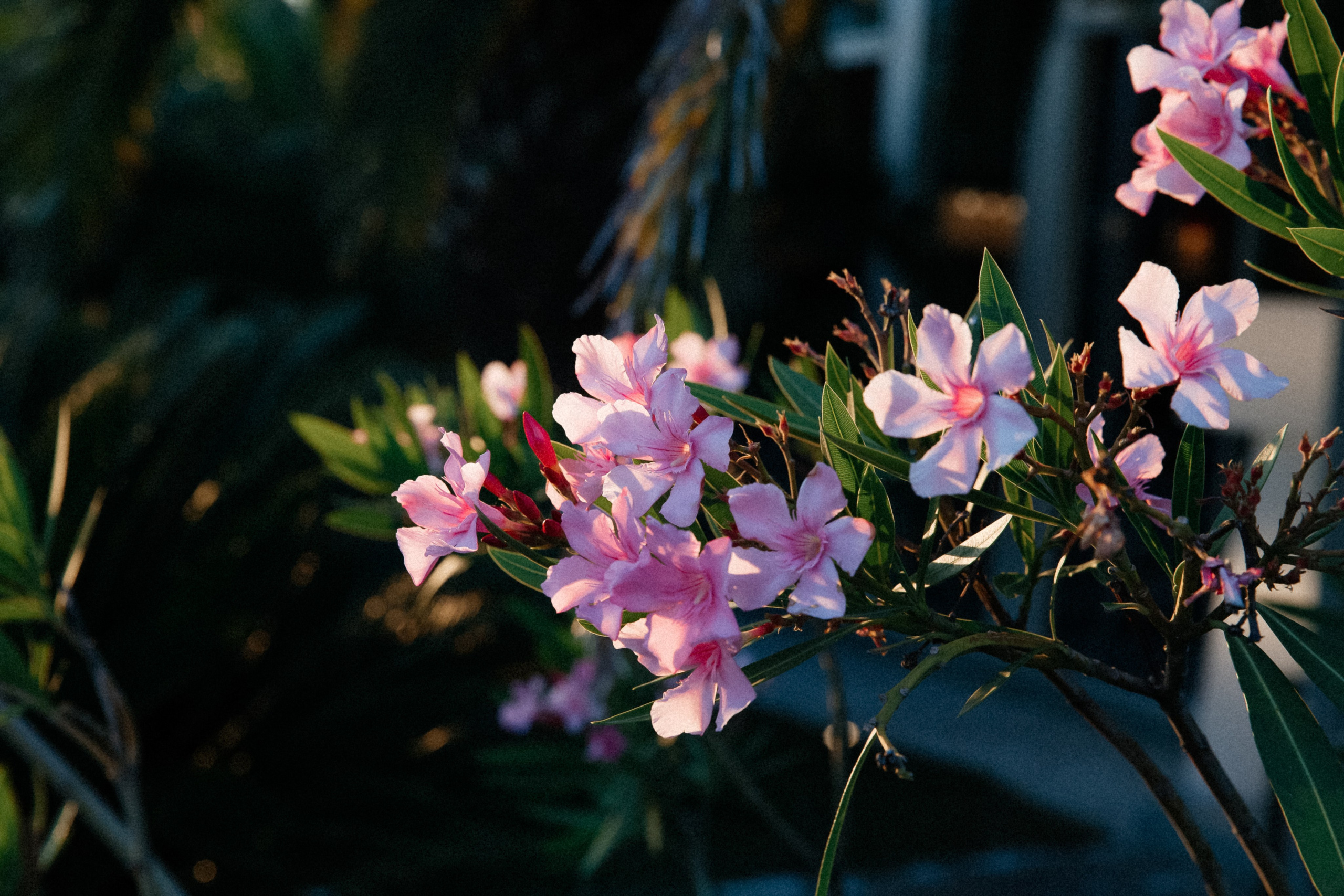 ELENA & VALERIY. Свадебный фотограф | Екатеринбург | Сочи | Артем Шестаков