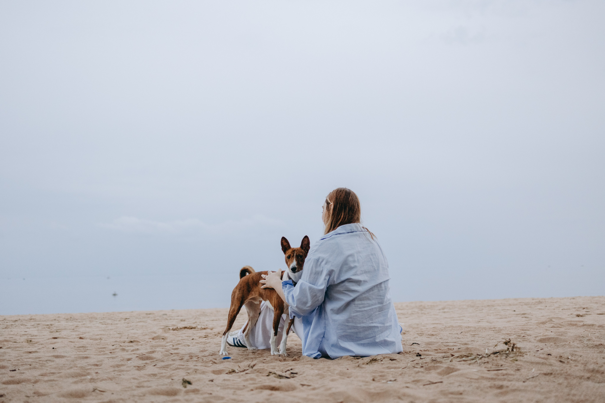 Даша и Арчи. Фотограф — Анималист | Санкт-Петербург