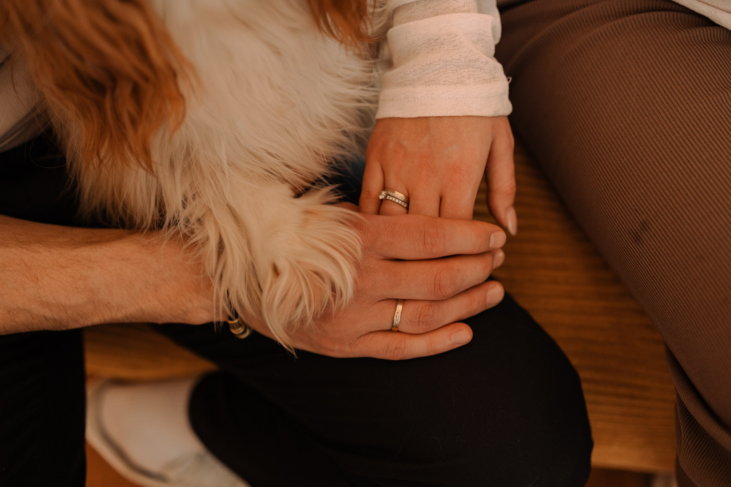 Шерри и ее семья. Фотограф — Анималист | Санкт-Петербург