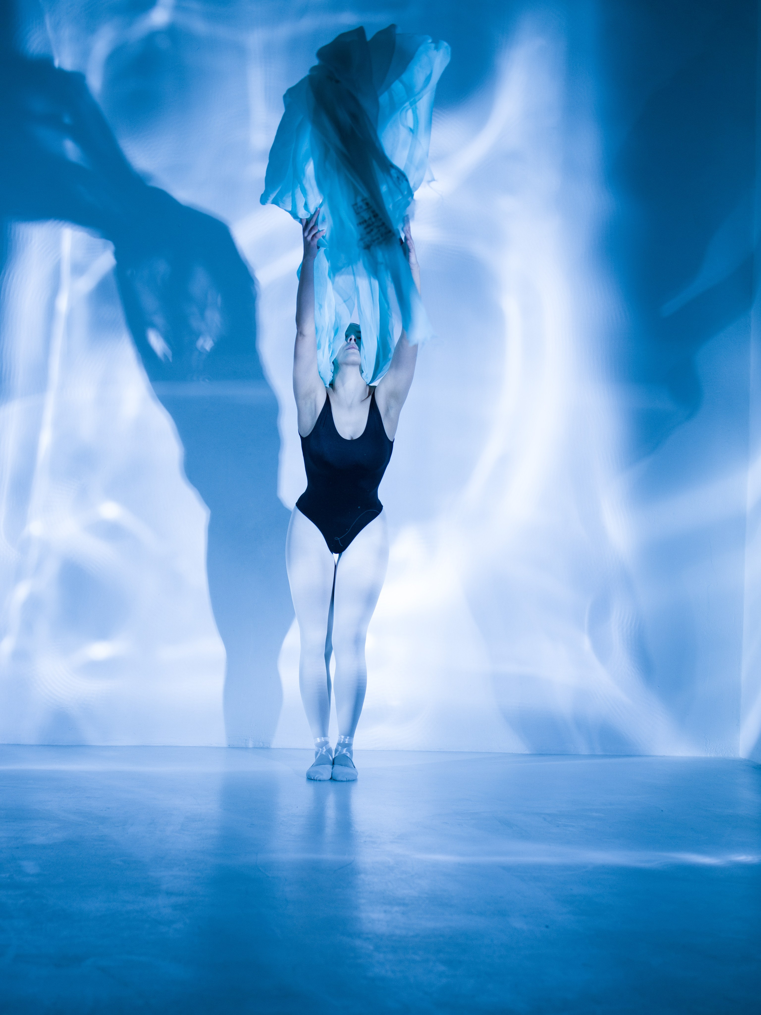 Лилия. Художественная фотография