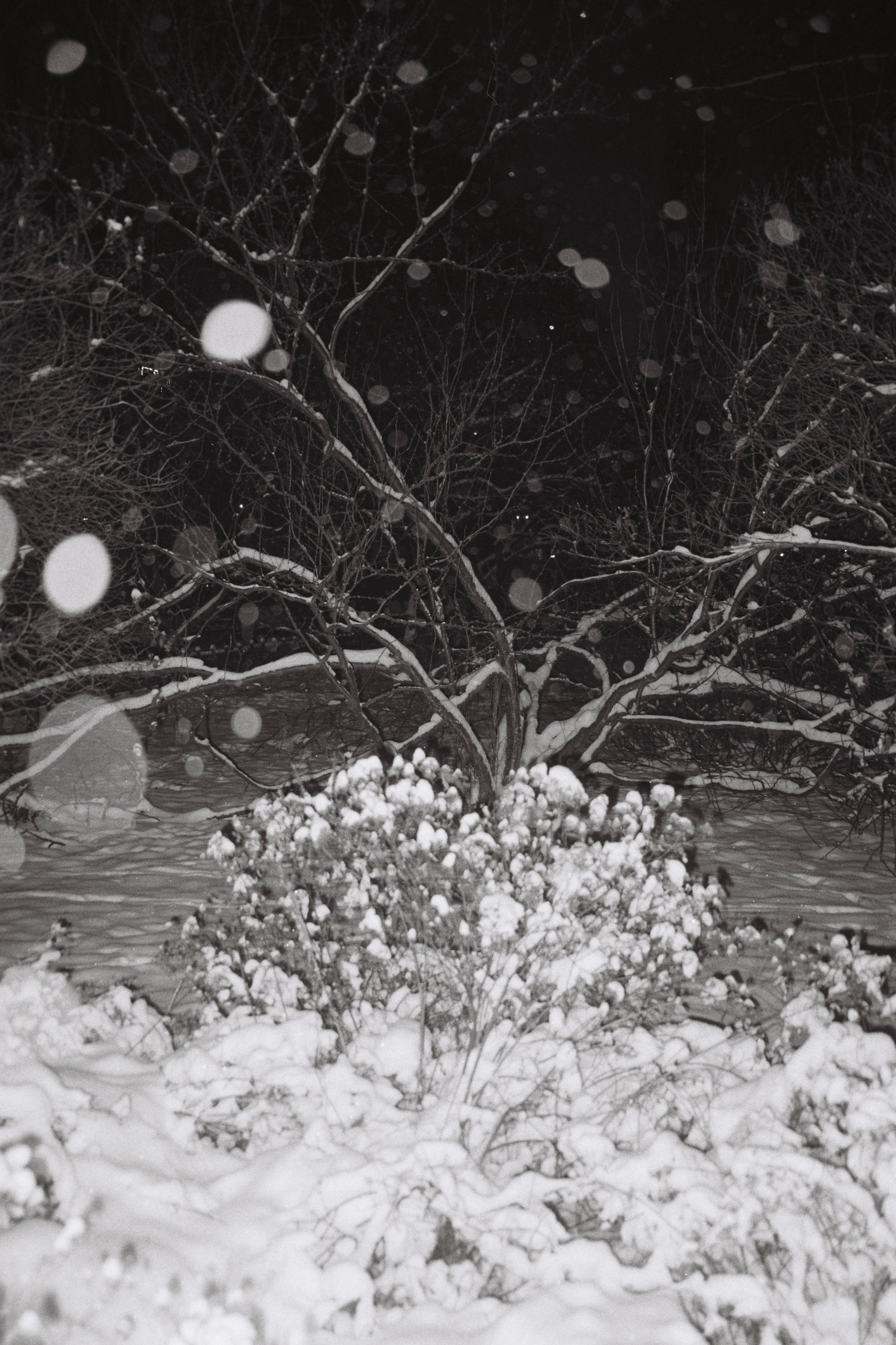 Grain. Artem Khusainov