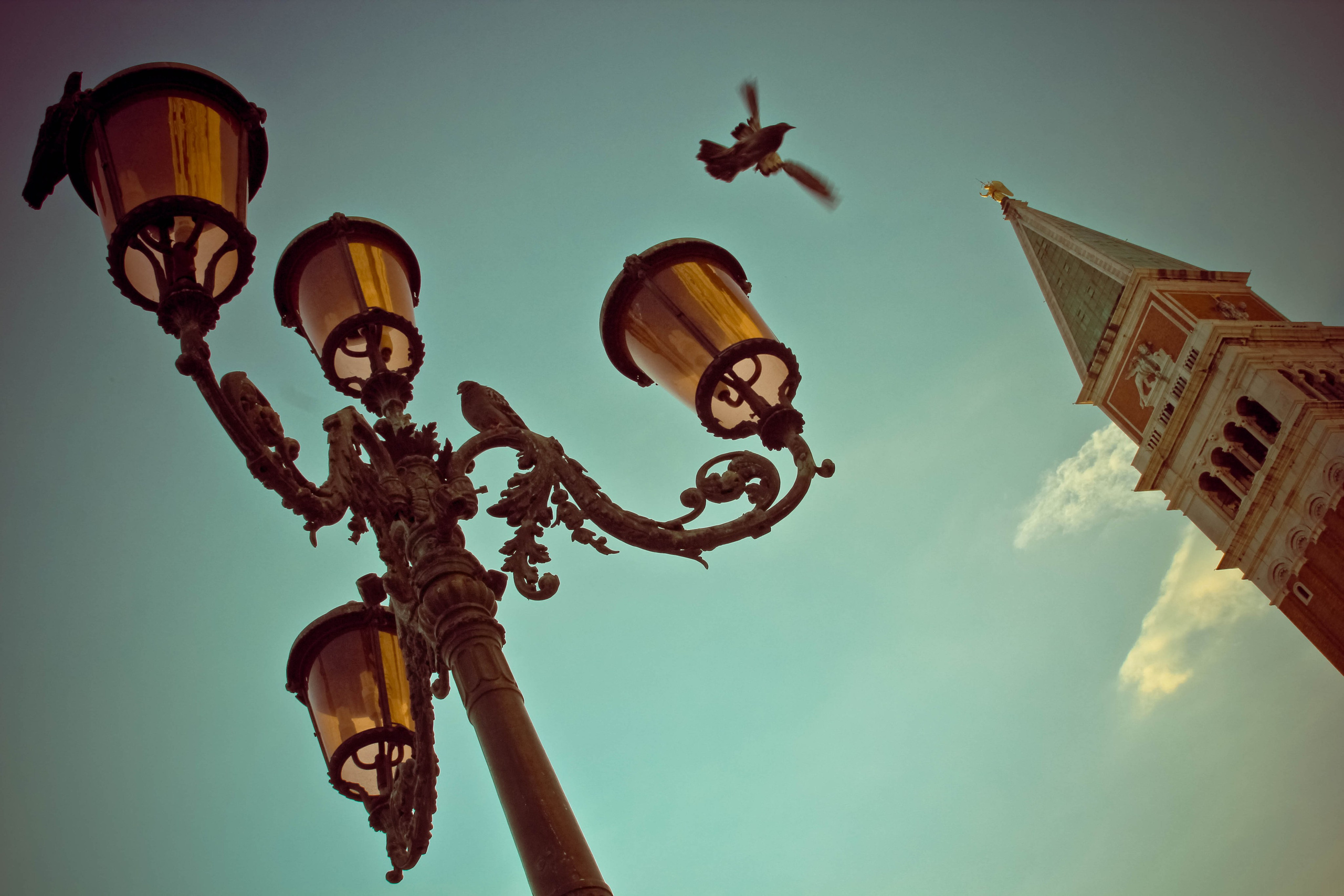 ИТАЛИЯ. Стрит-фотография, полная абсурда, идиотизма и красоты